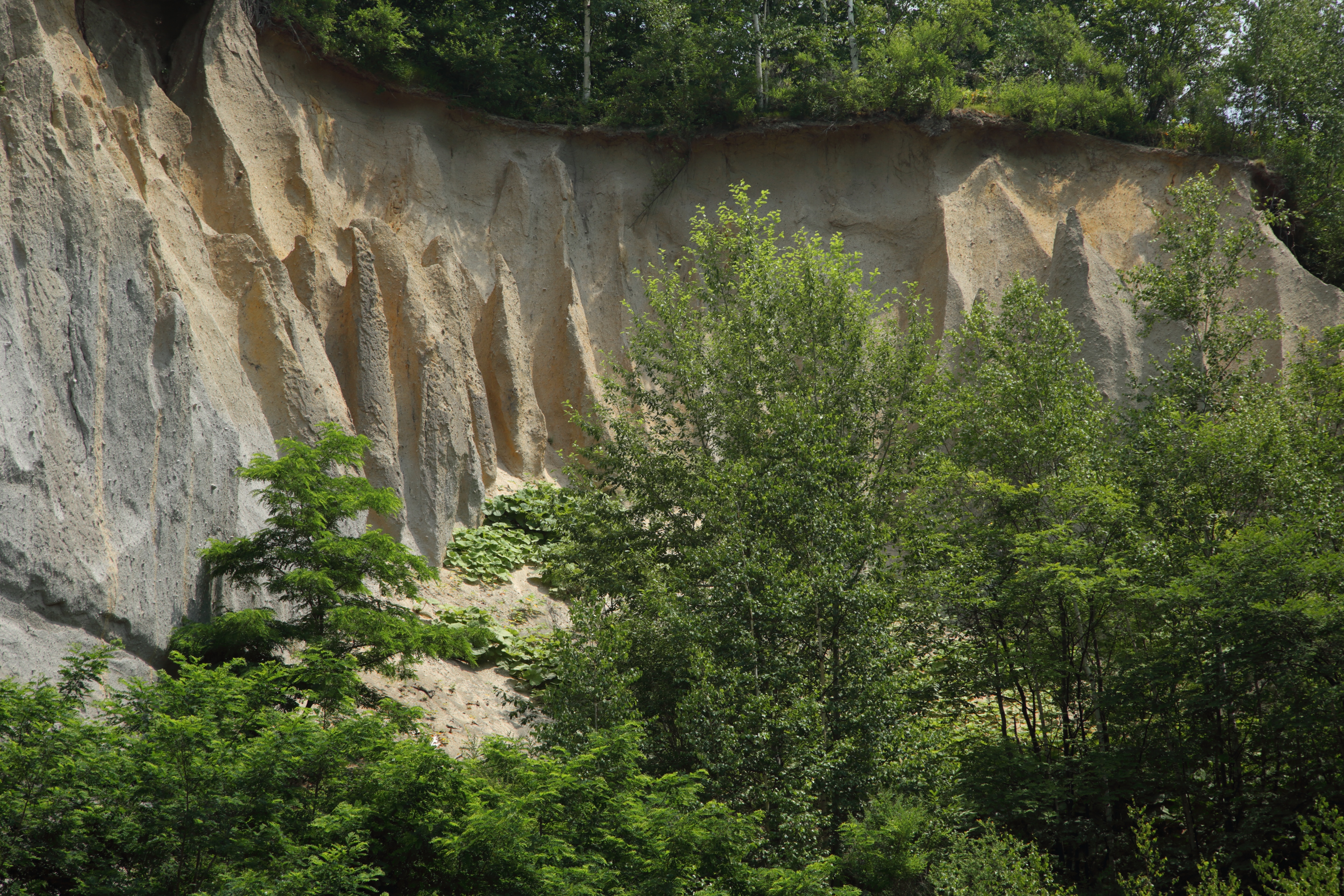 「オレンジ」の「S」を「10.0」にして現像したもの。