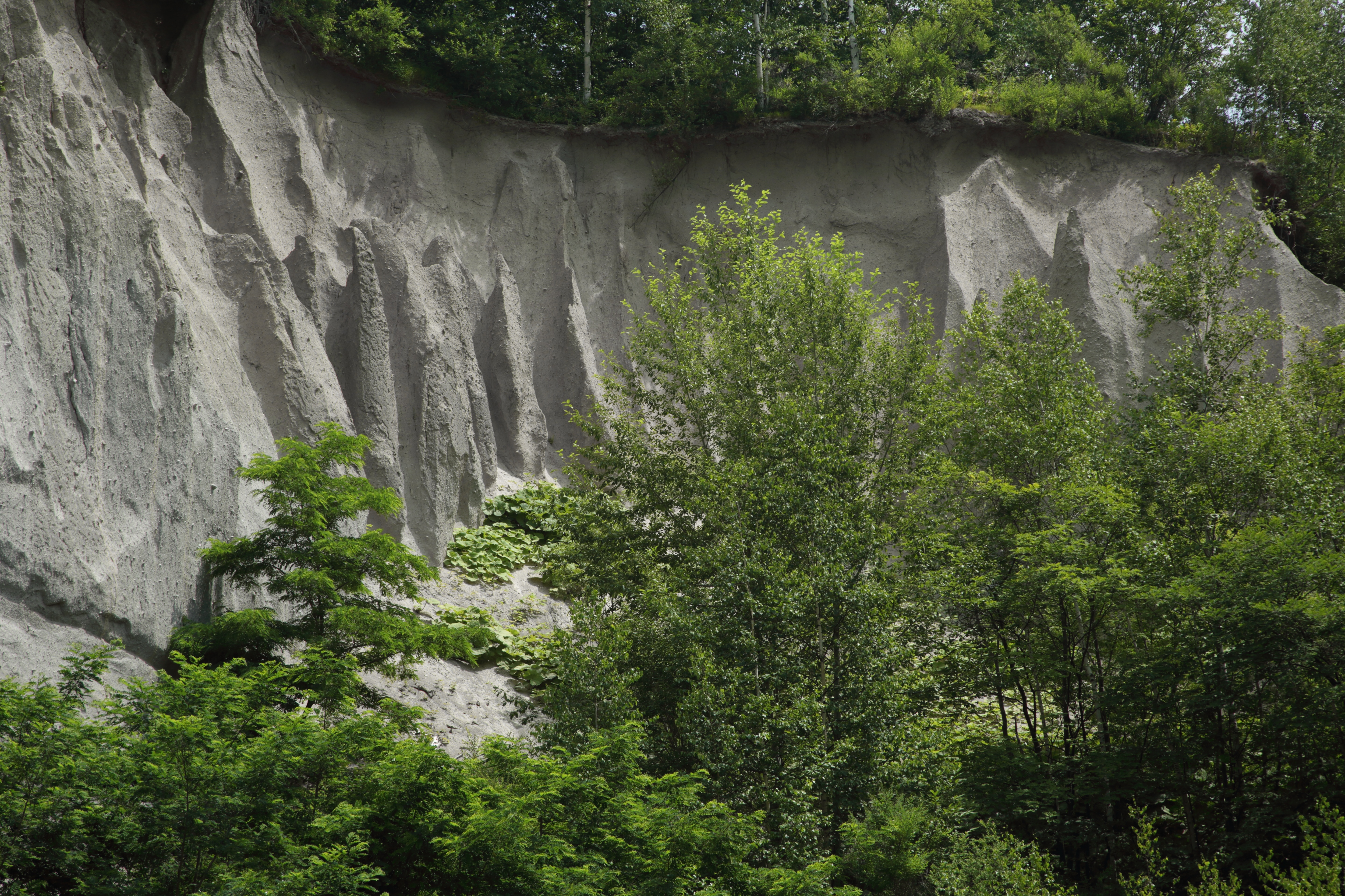 「オレンジ」の「S」を「-10.0」にして現像したもの。