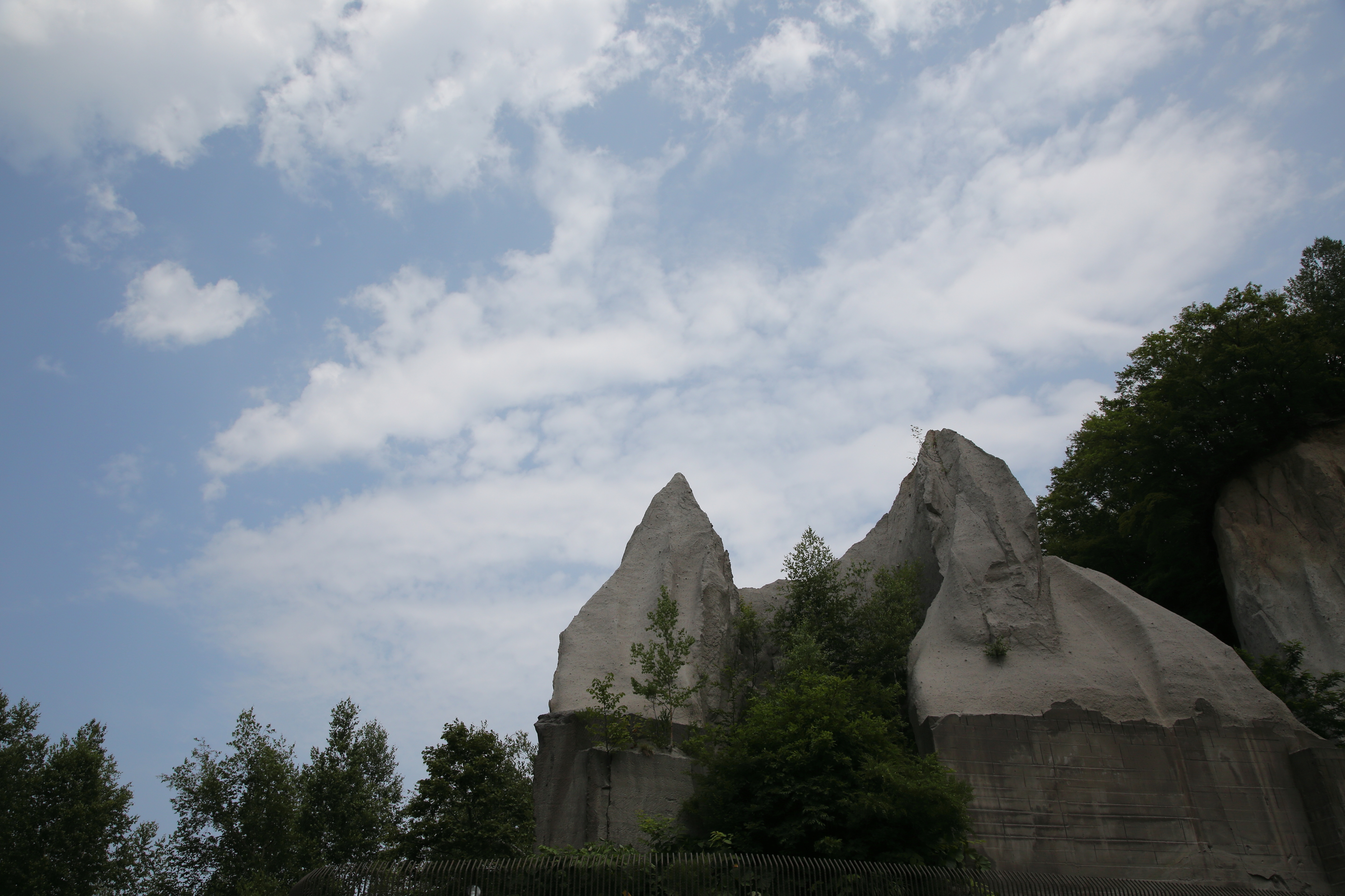 「オートライティングオプティマイザ」を「標準」にして現像したもの。