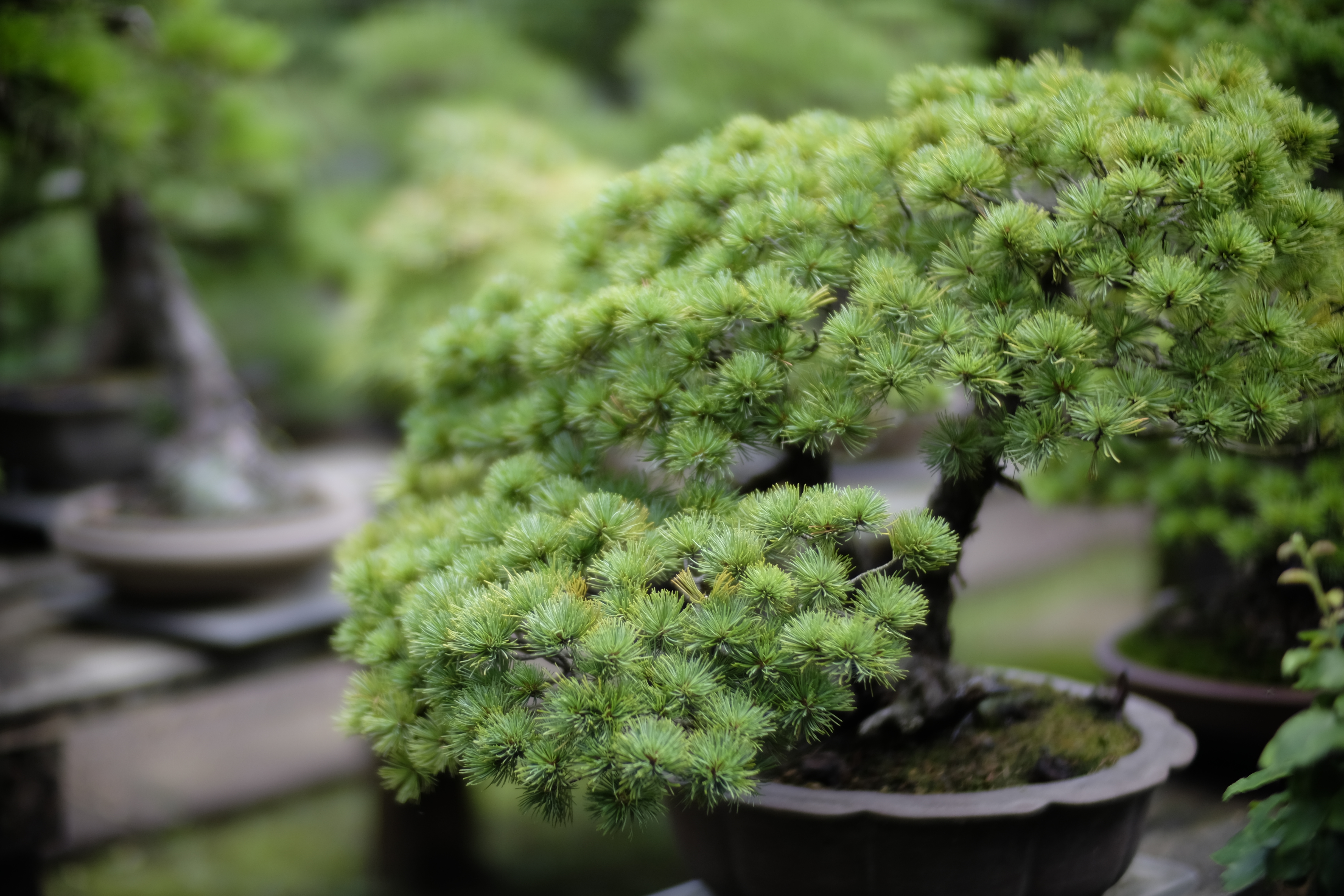 多少滲みをともなうとはいえ、開放でこれだけシャープなら文句はあるまい。ボケも滑らかで美しい。X-T1 / 1/3,500秒 / F0.85 / -0.67EV / ISO200 / 40mm