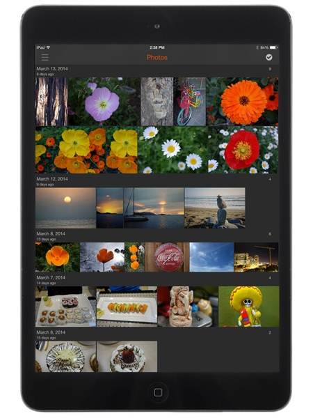 iPadでの利用イメージ