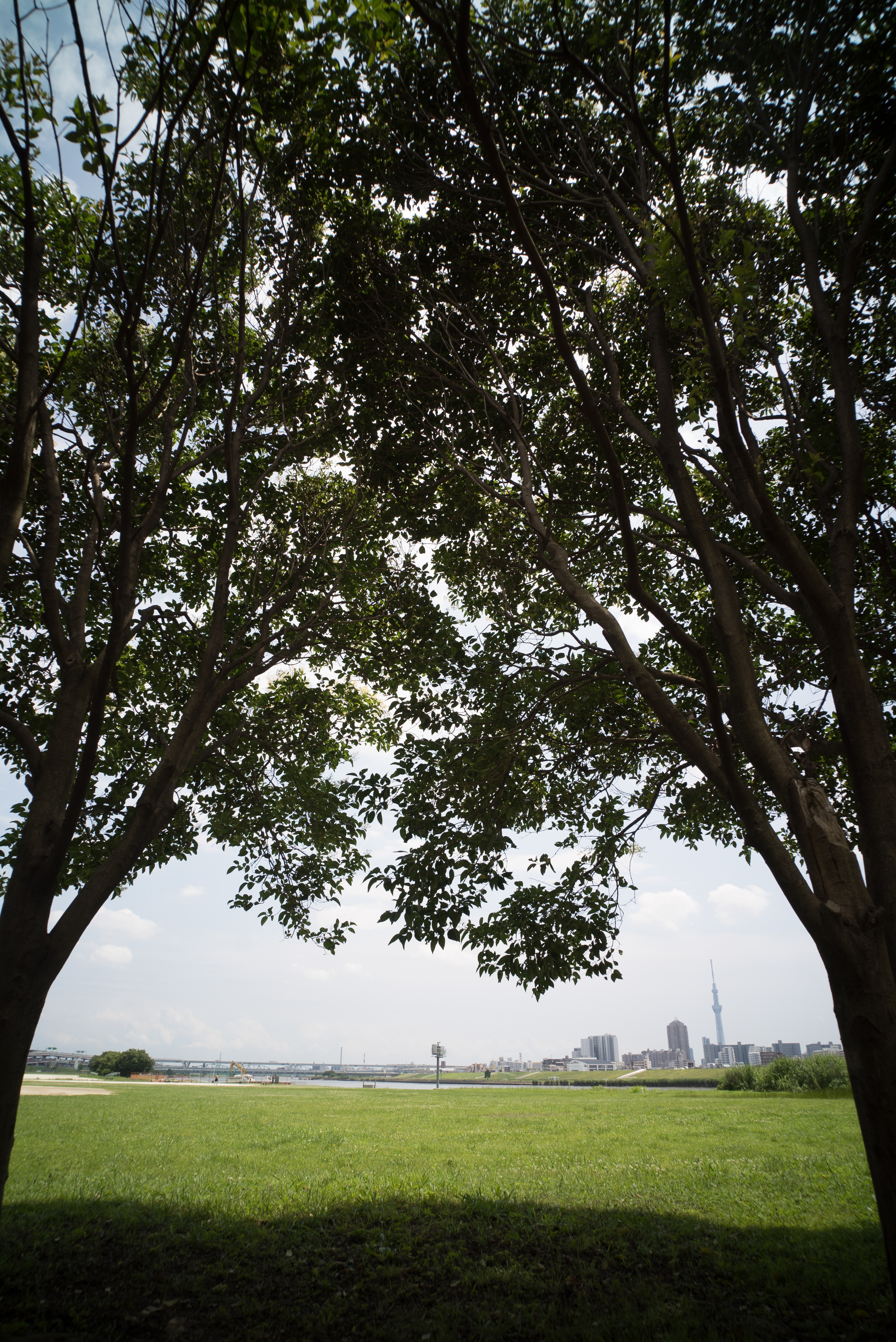 α7S / GR Lens 21mm F3.5 / 1/160秒 / F8 / +0.7EV / ISO100 / 21mm