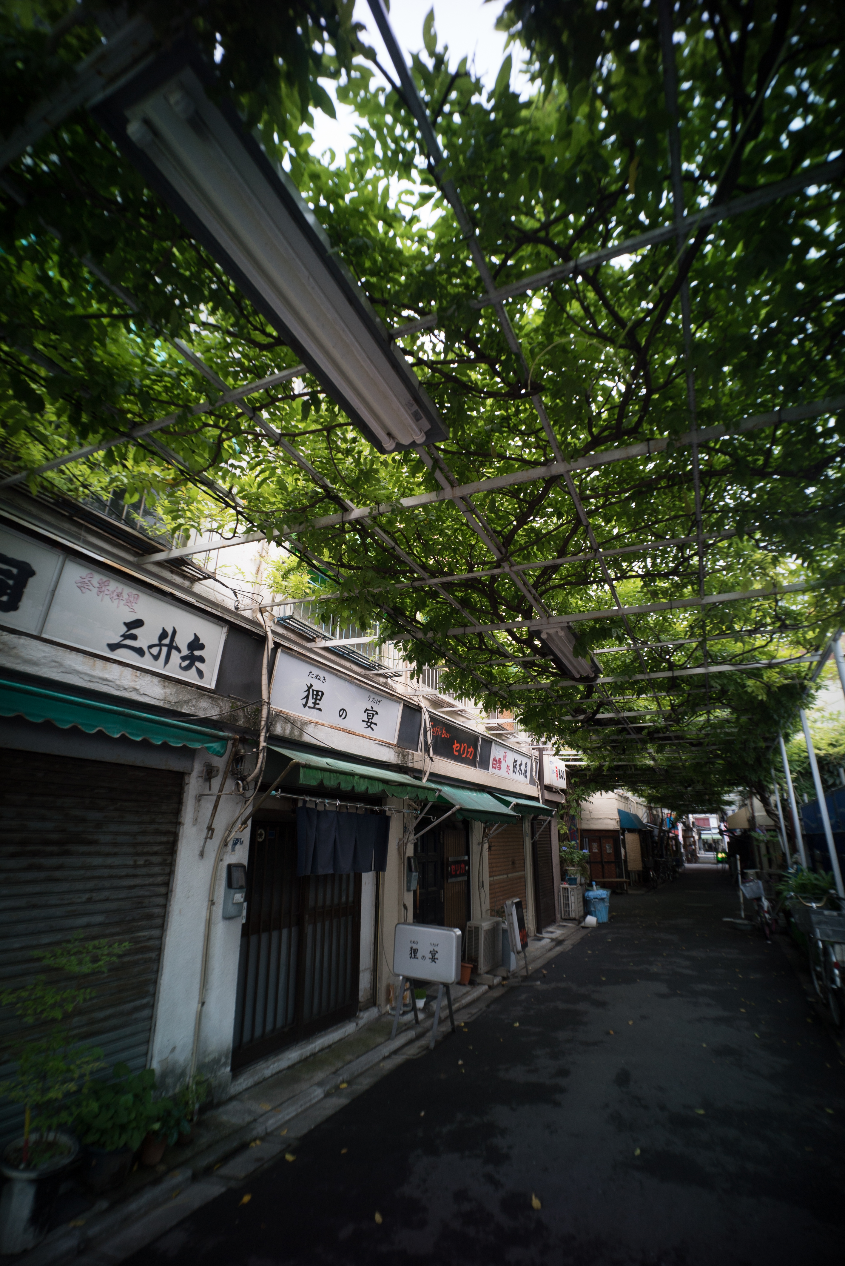 α7S / Hologon T* 16mm F8 / 1/60秒 / F8 / -0.7EV / ISO500