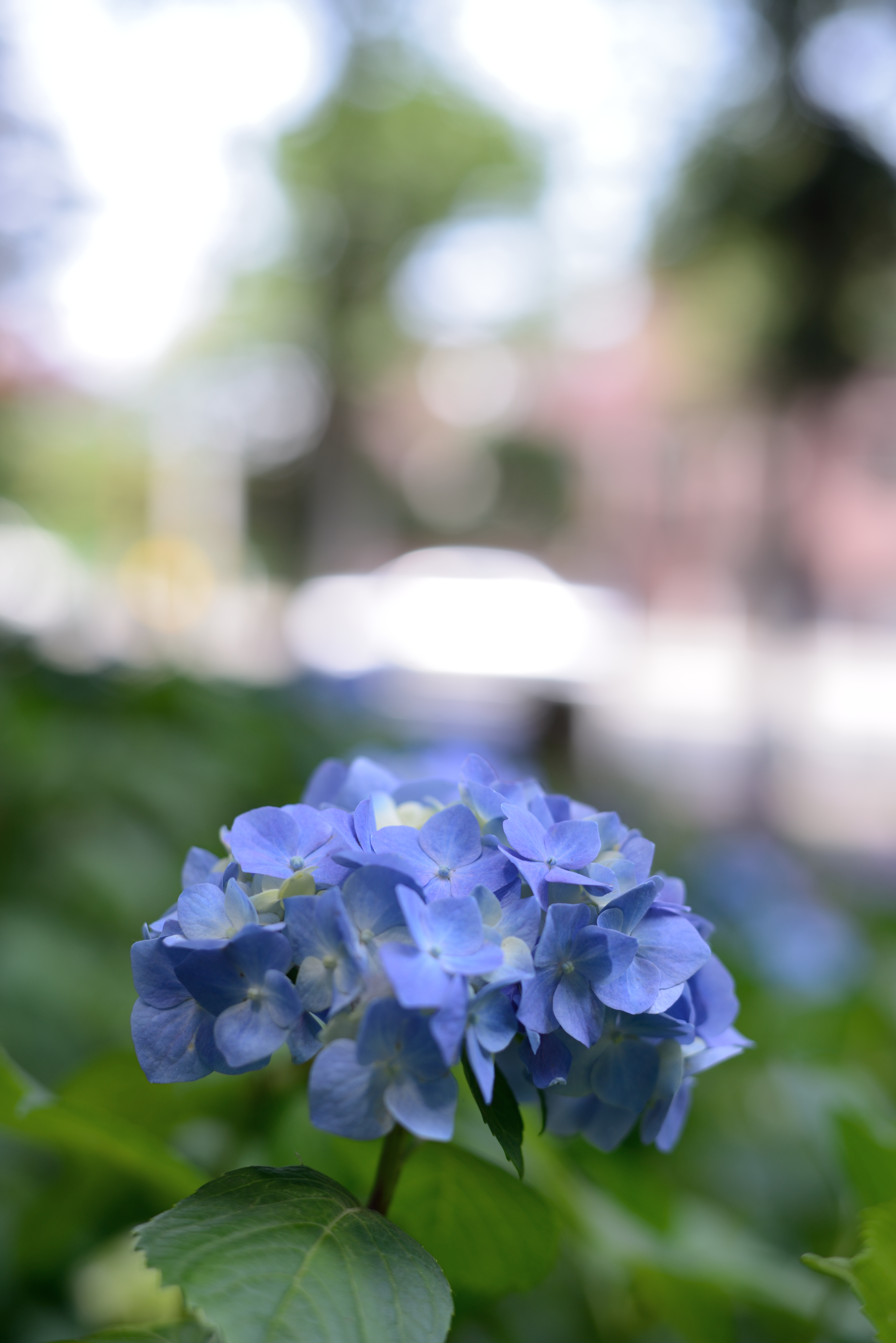 ハイライト：20