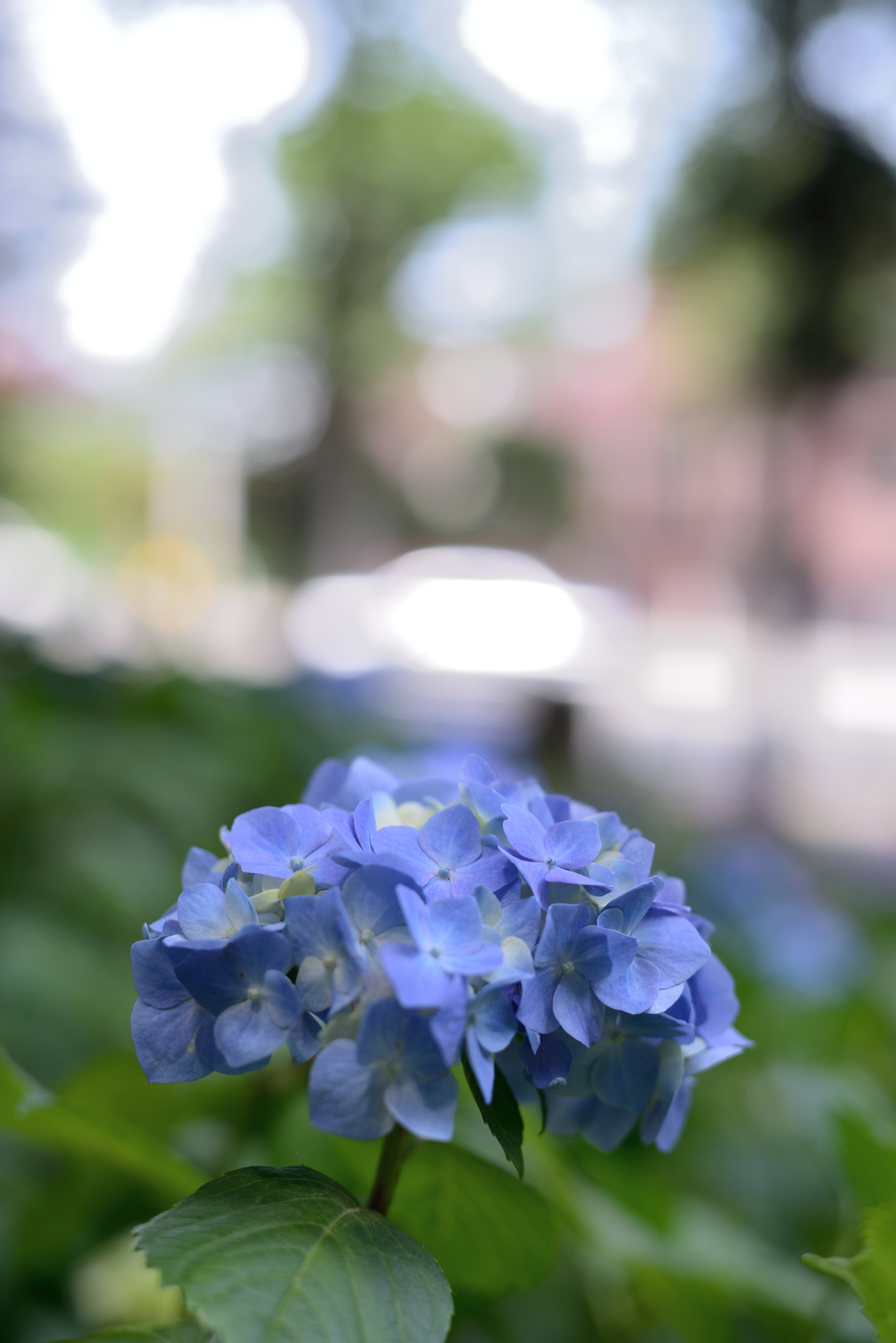 ハイライト：60