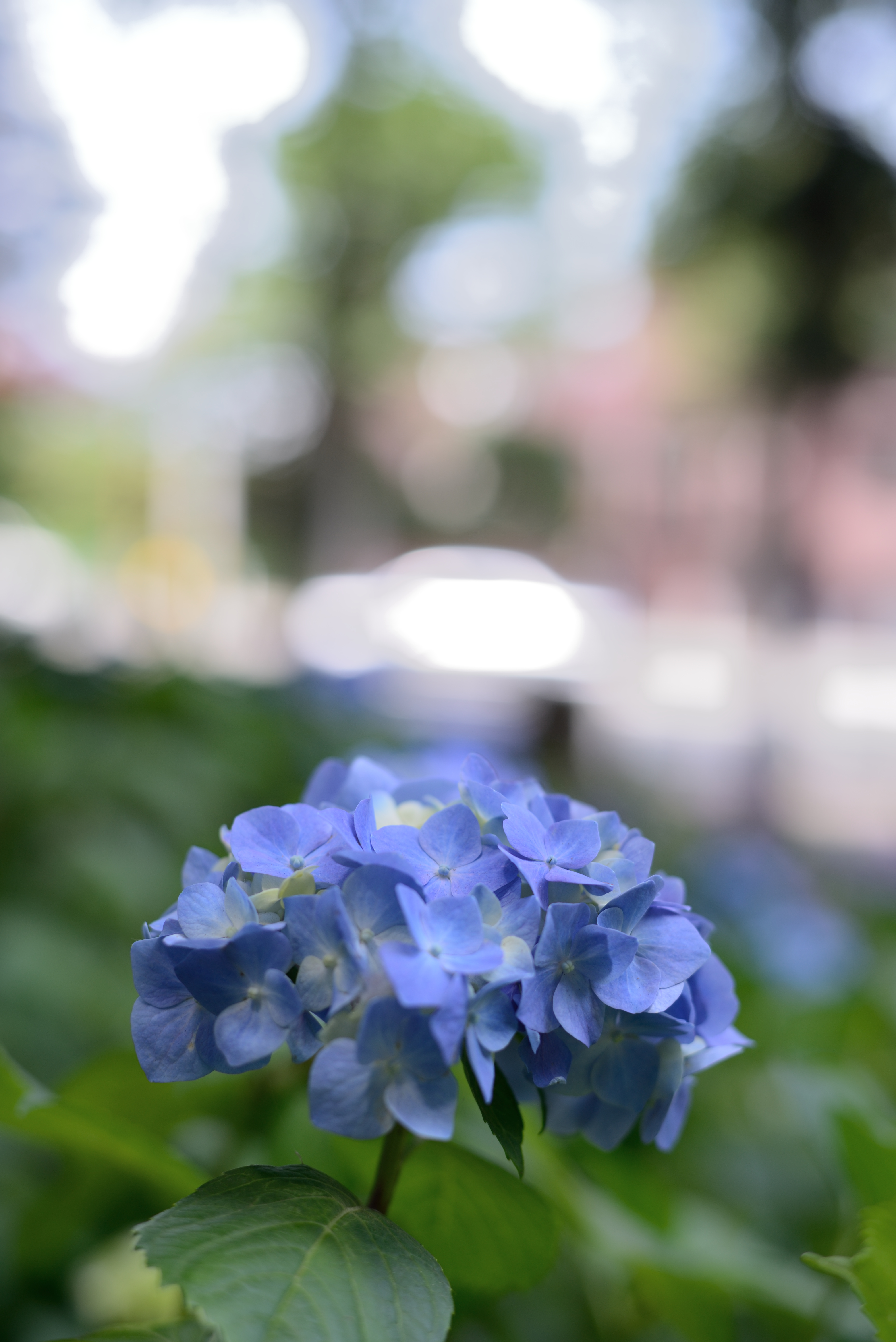 ハイライト：80