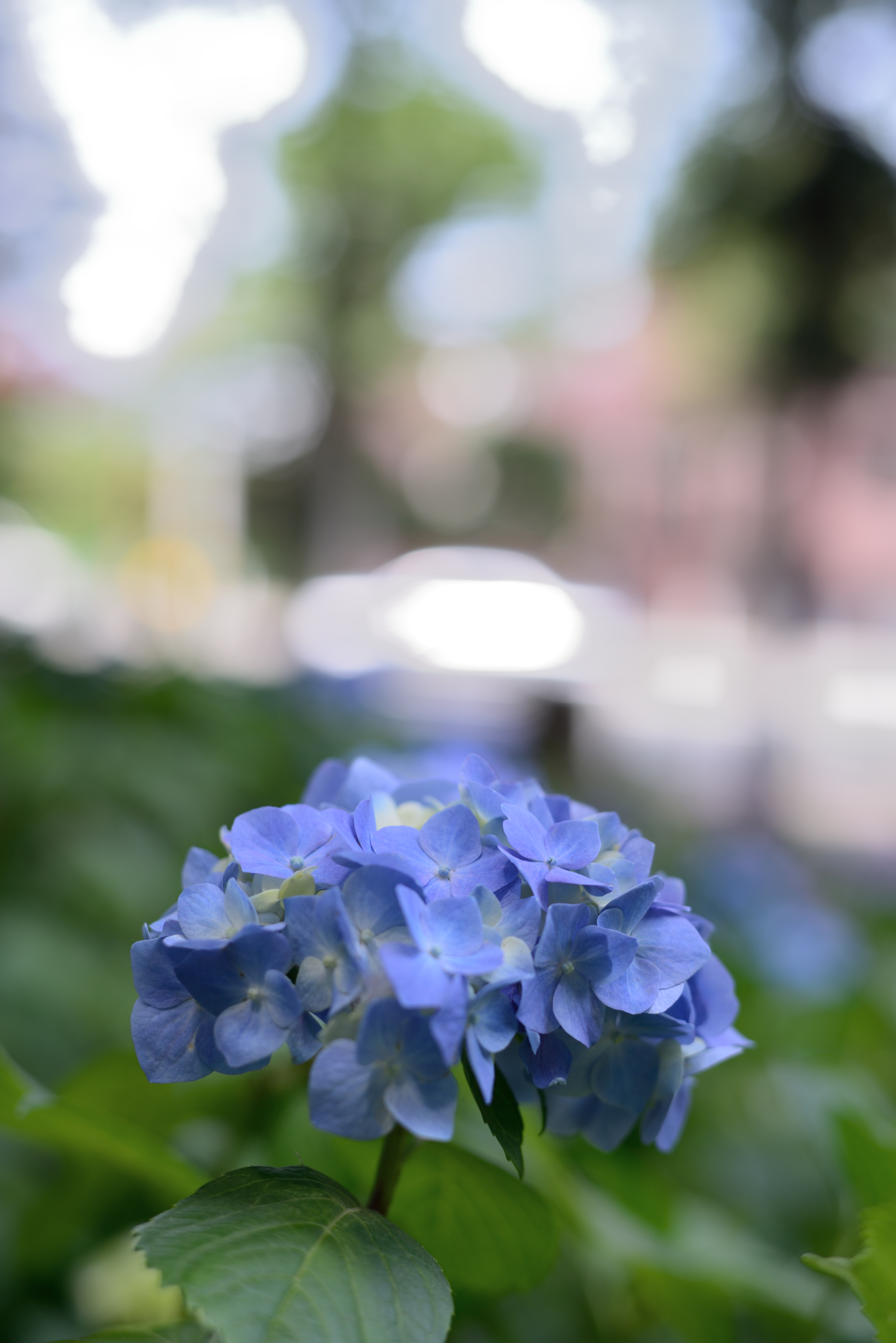 ハイライト：100