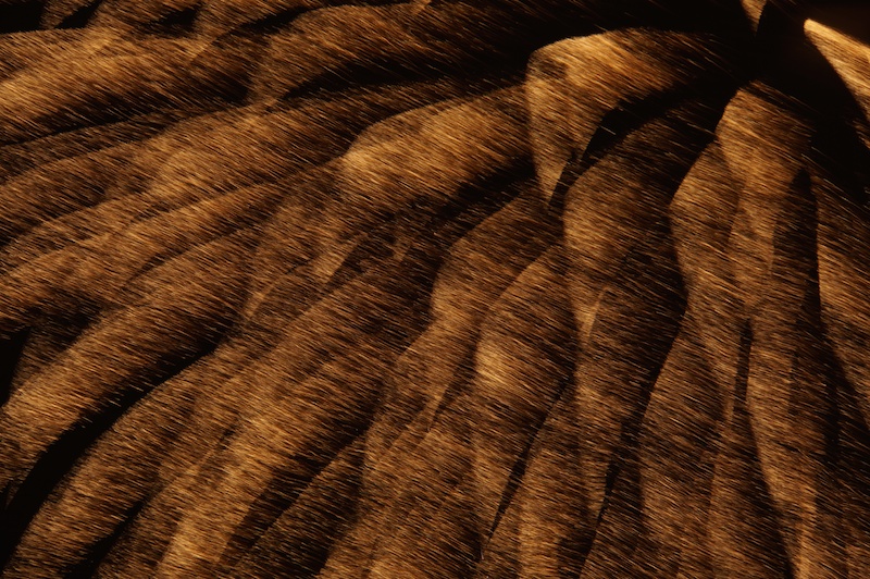 しっとり暗めに撮りたかったので、絞りをF11からF13に変更して、明るさを調整しました。シャッター速度は約2秒です。