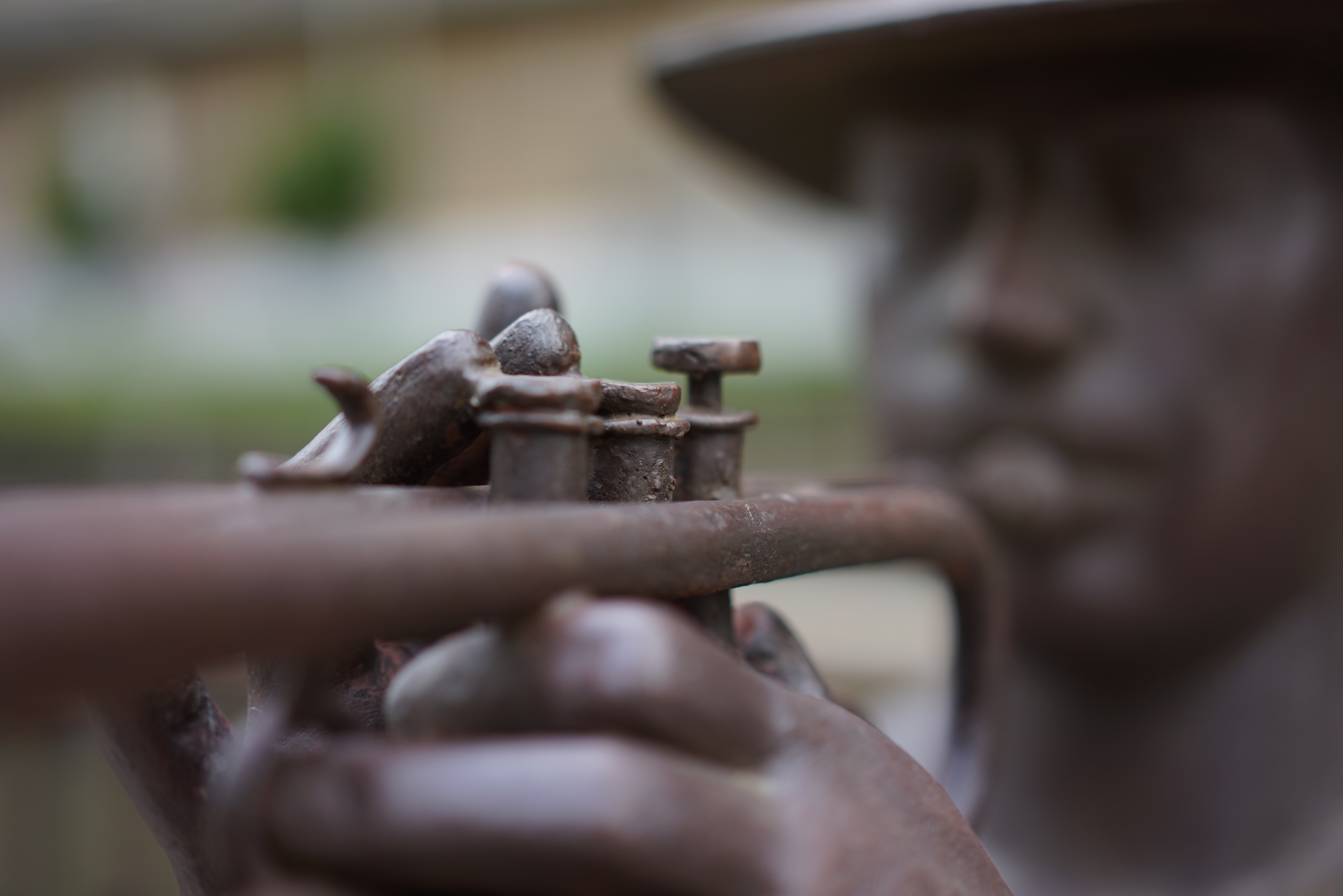 絞り開放・最短撮影距離（約50cm）で撮影。α7R / 1/800秒 / F1.8 / -0.3EV / ISO100 / 絞り優先AE / 55mm