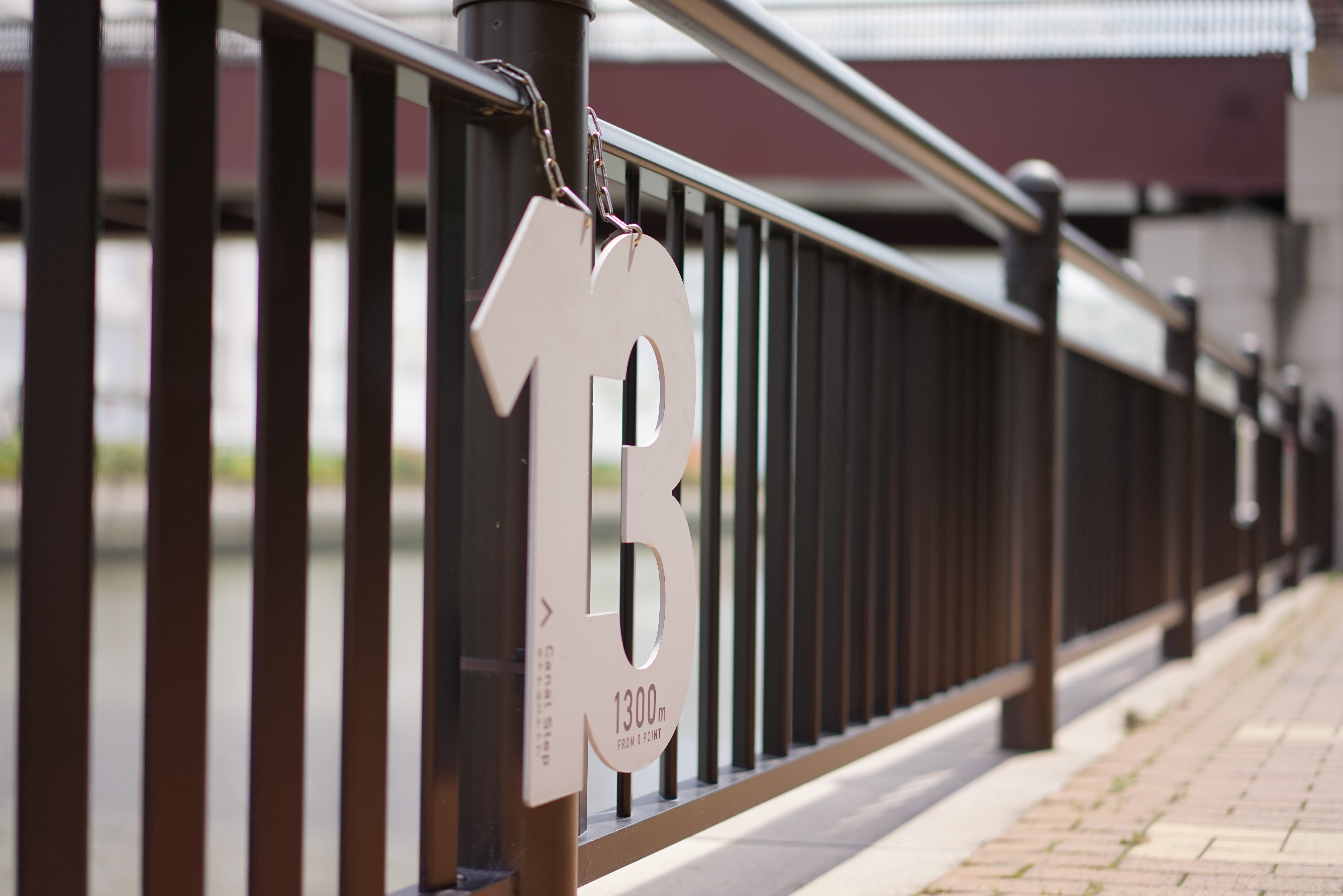 絞り開放・距離数mで撮影。α7R / 1/2,500秒 / F1.8 / 0EV / ISO125 / 絞り優先AE / 55mm