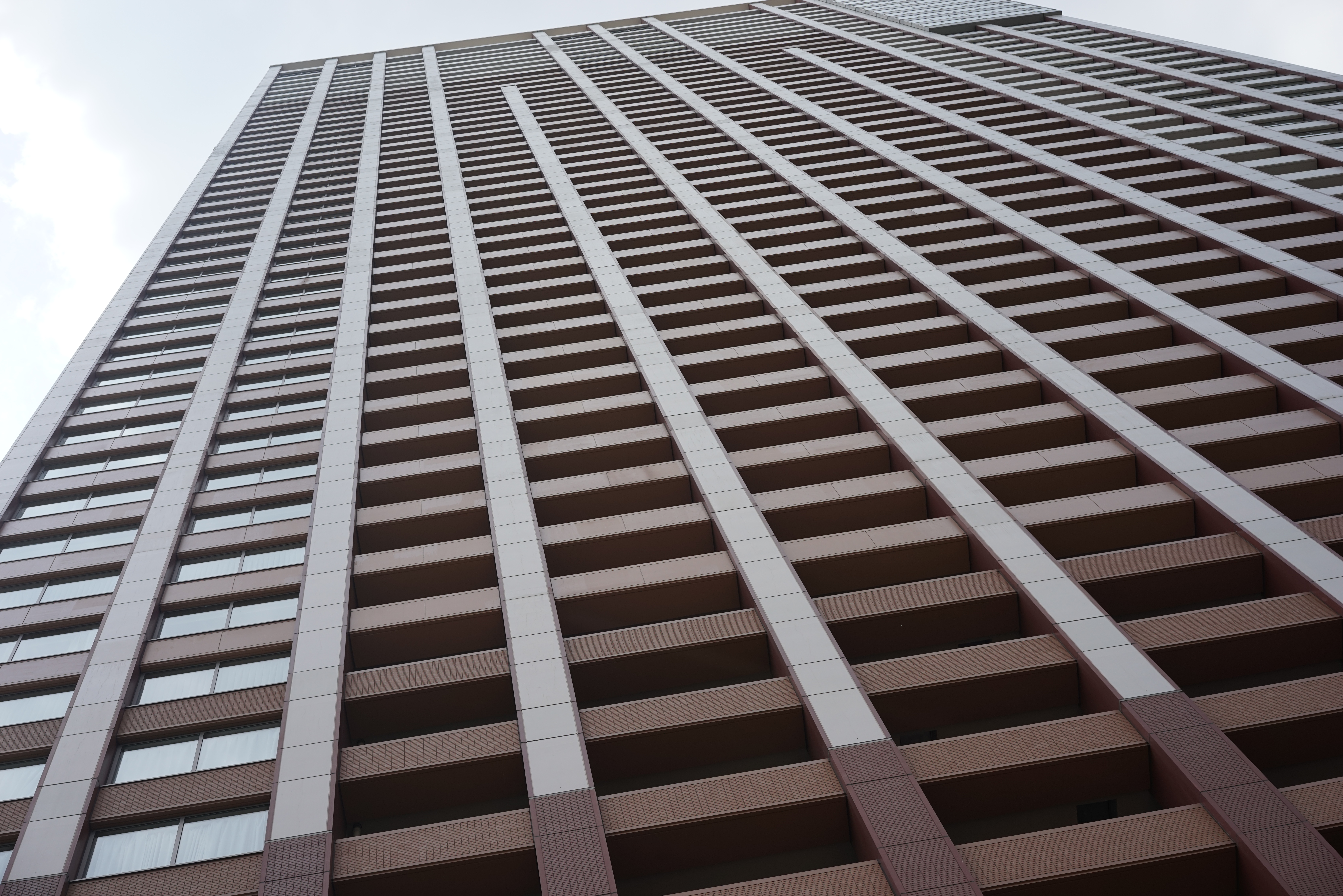 太陽が画面外にある逆光で撮影。α7R / 1/500秒 / F8 / 0EV / ISO125 / 絞り優先AE / 55mm