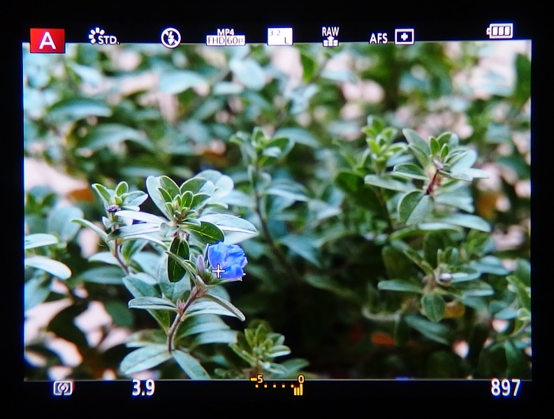 ファインダー内には必要な情報が画面の邪魔にならないように表示される。水準器やヒストグラムを表示することもできる。倍率は約1.88倍、視野率100％、広く見やすいファインダーだ。