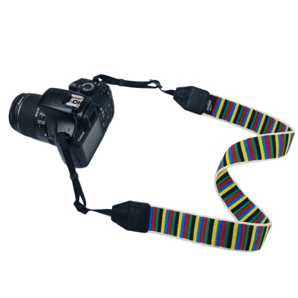 ワイドファイブ