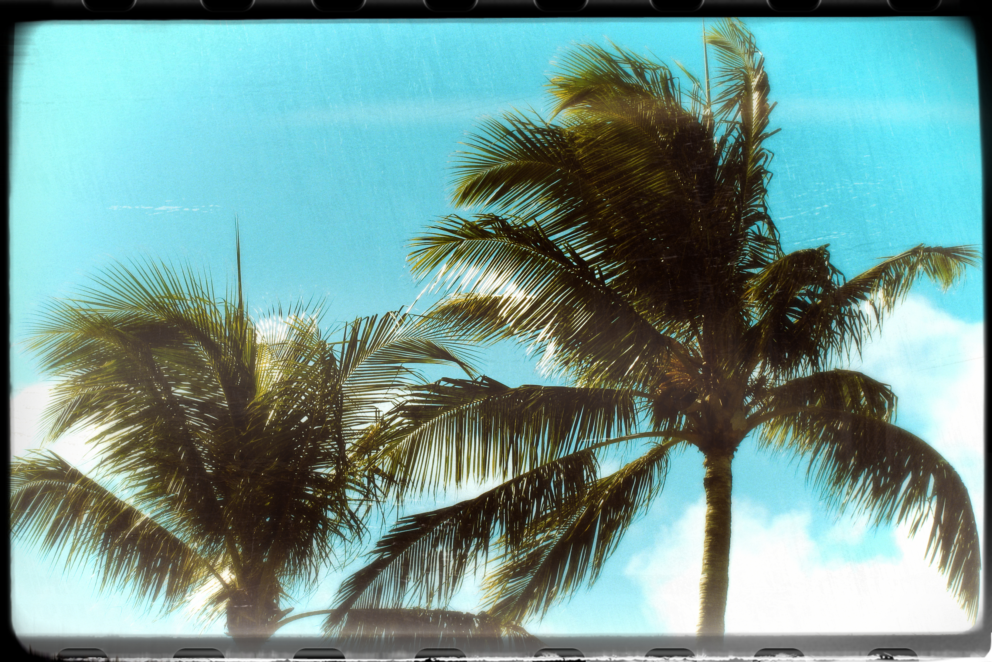 クロス処理-Kodak Elite 100、フィルタ：暖かいトーン、クリエイティブヴィネット：20、クリエイティブブラーヴィネット：強さ20 光彩拡散50、テクスチャ：傷、光漏れ：色付き2、フレーム：フィルム サイズ60