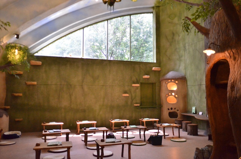 撮影会が行なわれた「てまりのおうち」は、ニャンコたちが森の中におうちを作り、のんびり気ままに暮らしているというコンセプトで作られたファンタジーな空間。かわいいツリーハウスでくつろぐ、かわいいニャンコが堪能できます。