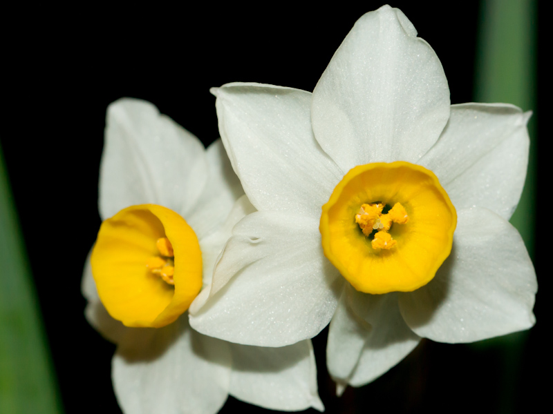 未使用時の作例