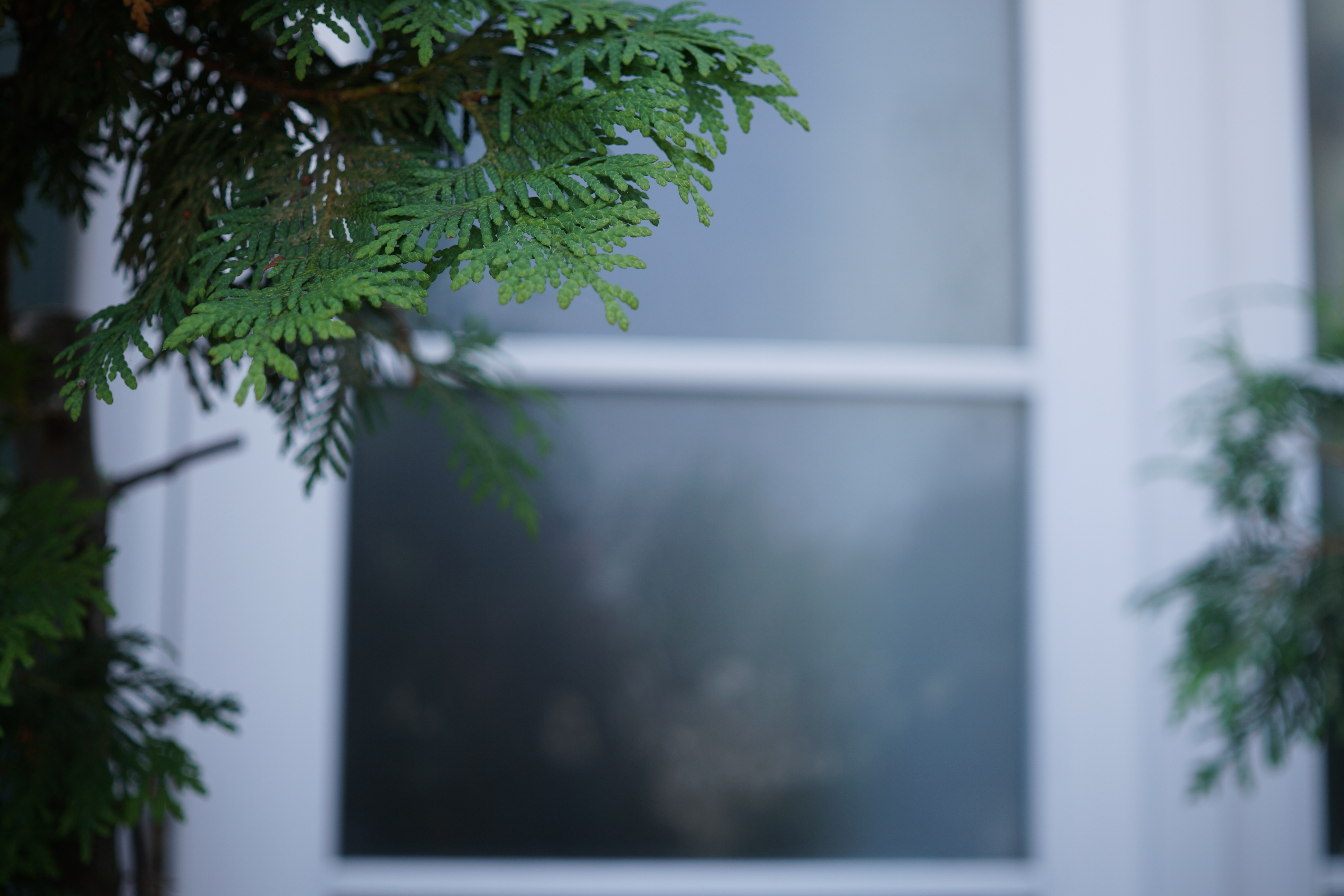 絞りは開放だが、ピントが合った部分だけはやたらとシャープ。周辺光量もあまり落ちてない。30mm F2.8 DN / 1/640秒 / F2.8 / ISO100 / 絞り優先AE / 30mm