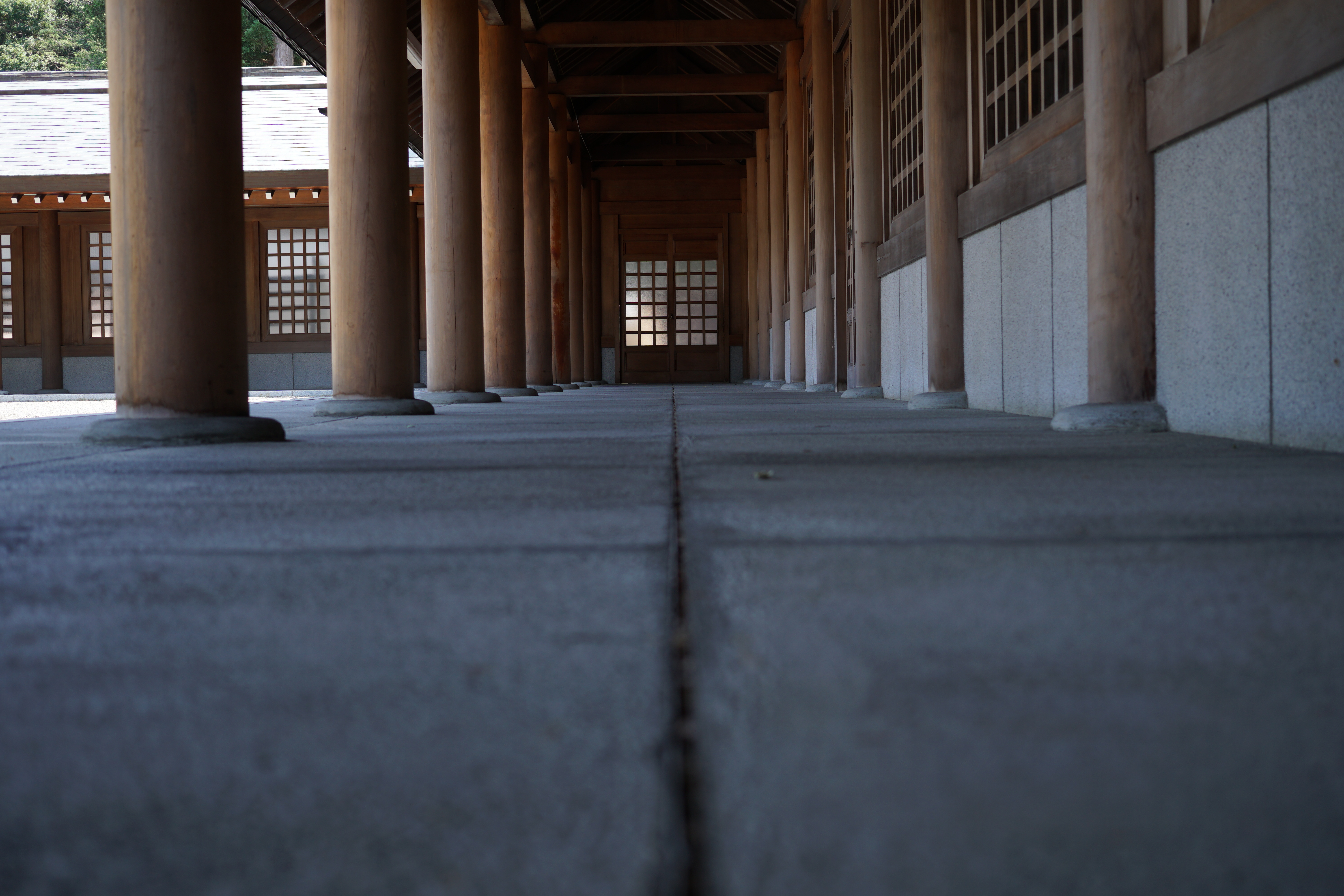 チルトモニターを利用して、地面すれすれから。奥行き感が自然。30mm F2.8 DN / 1/160秒 / F3.2 / ISO100 / 絞り優先AE / 30mm