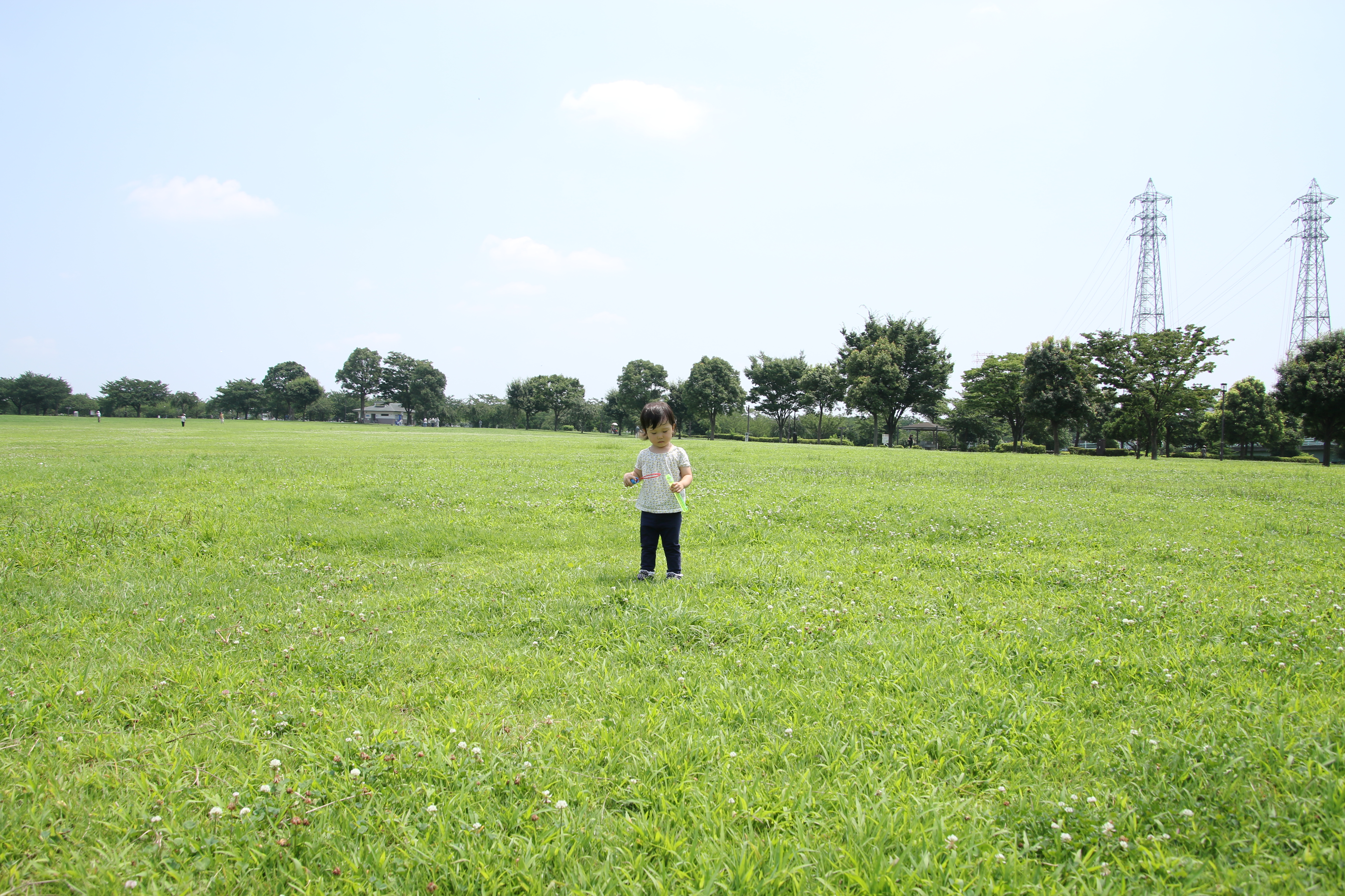 広角端。EOS 70D・16-300mm F/3.5-6.3 Di II VC PZD MACRO・絞り優先・ISO100・F6.3・1/320・+1.3EV・WB:昼光・16mm