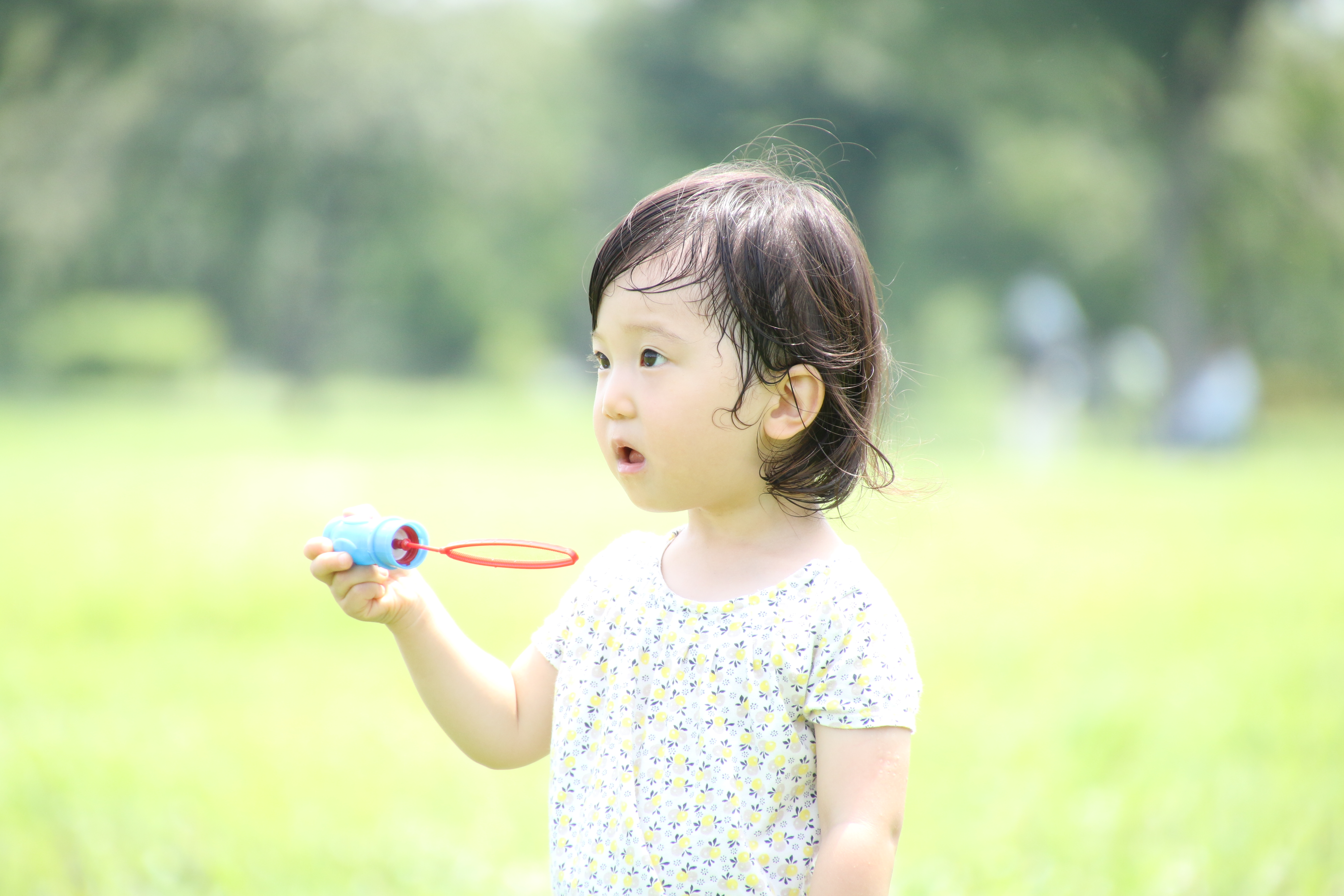 望遠端。EOS 70D・16-300mm F/3.5-6.3 Di II VC PZD MACRO・絞り優先・ISO100・F6.3・1/320・+1.3EV・WB:昼光・300mm