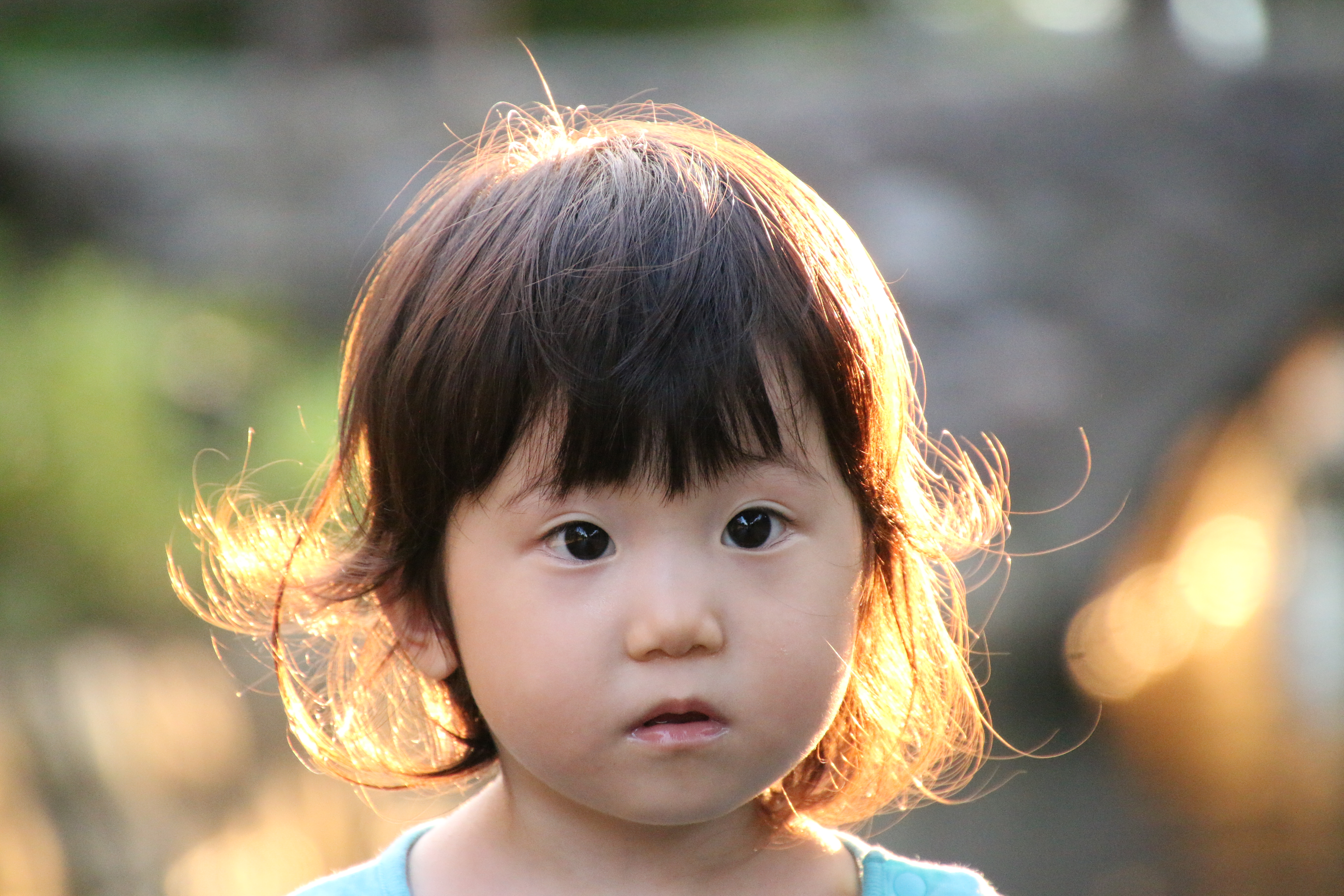 軽く逆光になる条件での撮影。目立ったフレアやゴーストもなく、クリアで抜けの良い描写です。EOS 70D・16-300mm F/3.5-6.3 Di II VC PZD MACRO・絞り優先・ISO5000・F6.3・1/500・+0.3EV・WB:オート・300mm