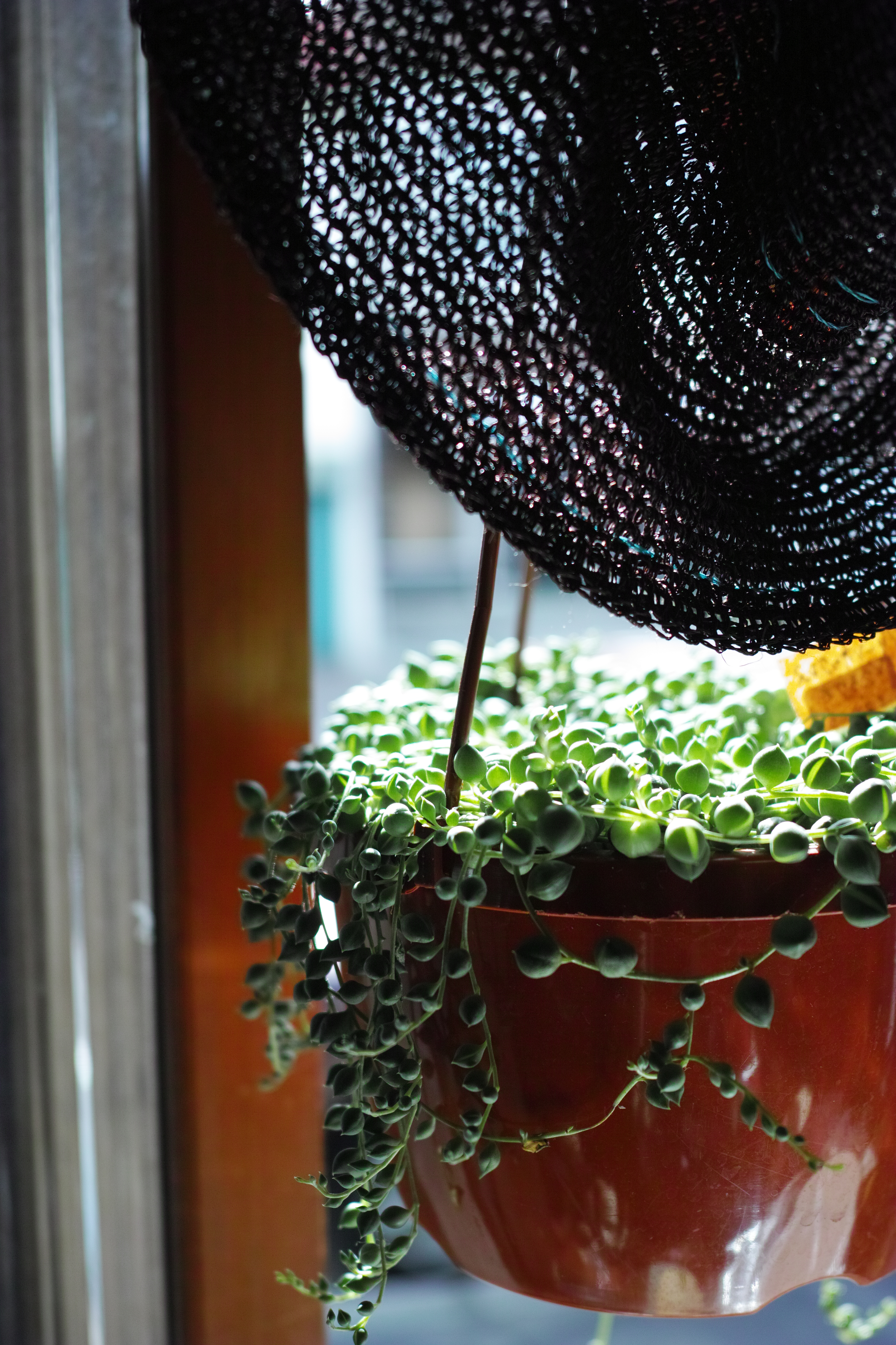 1/500秒 / F2.8 / ISO400 / 絞り優先AE / 30mm