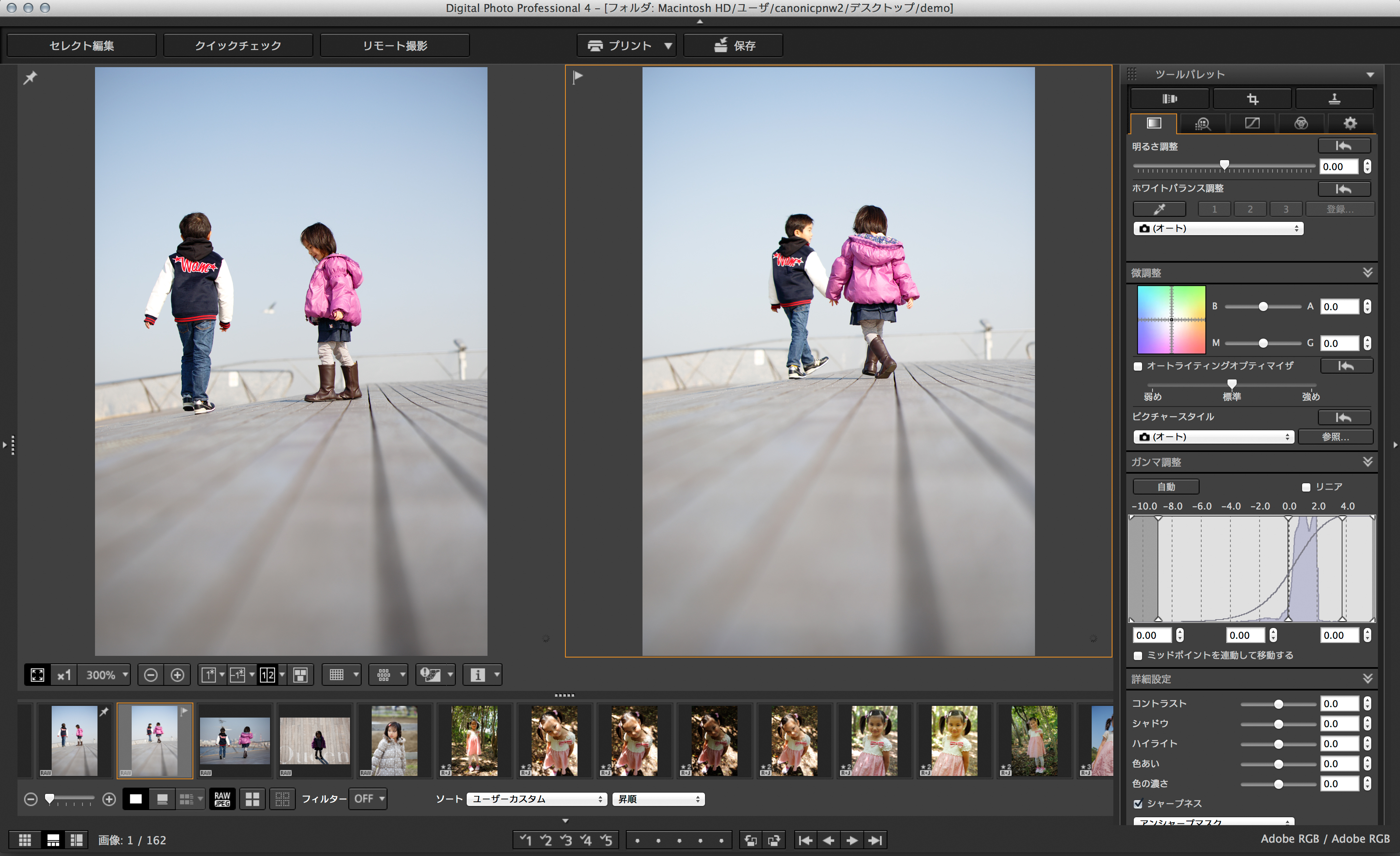 2枚の画像を見ながら選んでいける「勝ち抜きセレクト」機能
