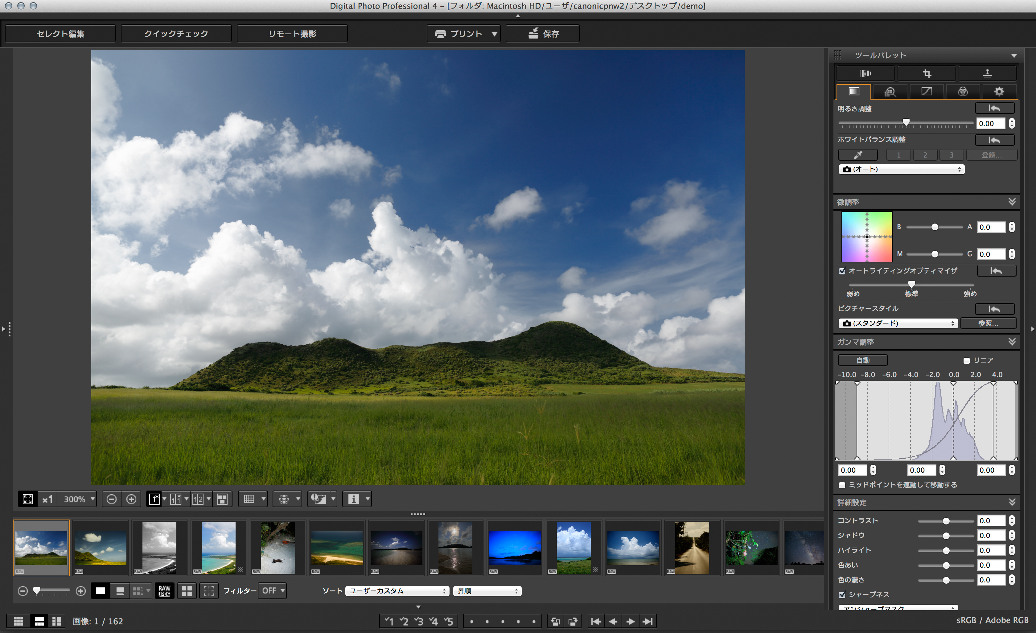 Digital Photo Professional 4.0