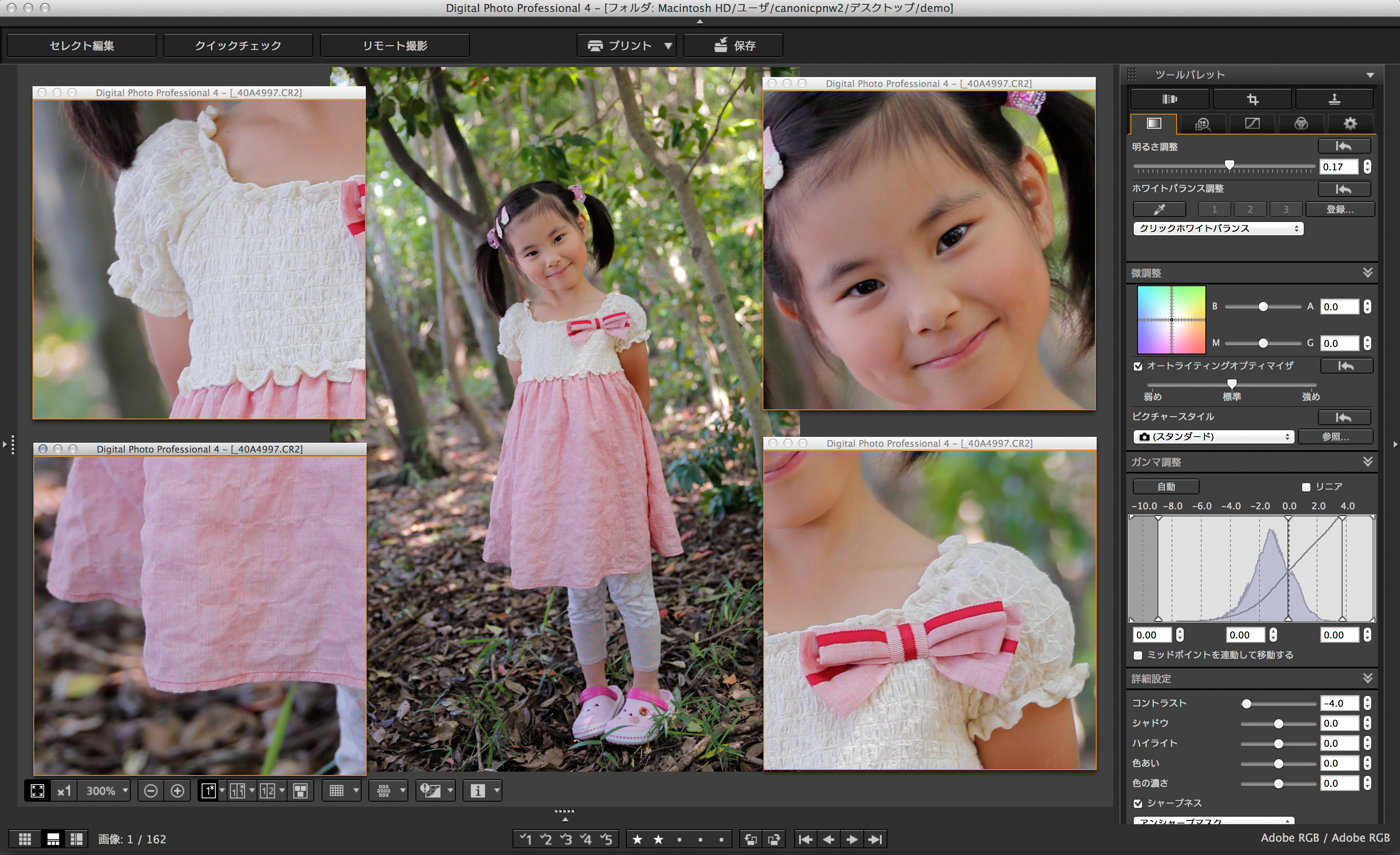 1枚の画像の複数箇所を拡大してチェックできる