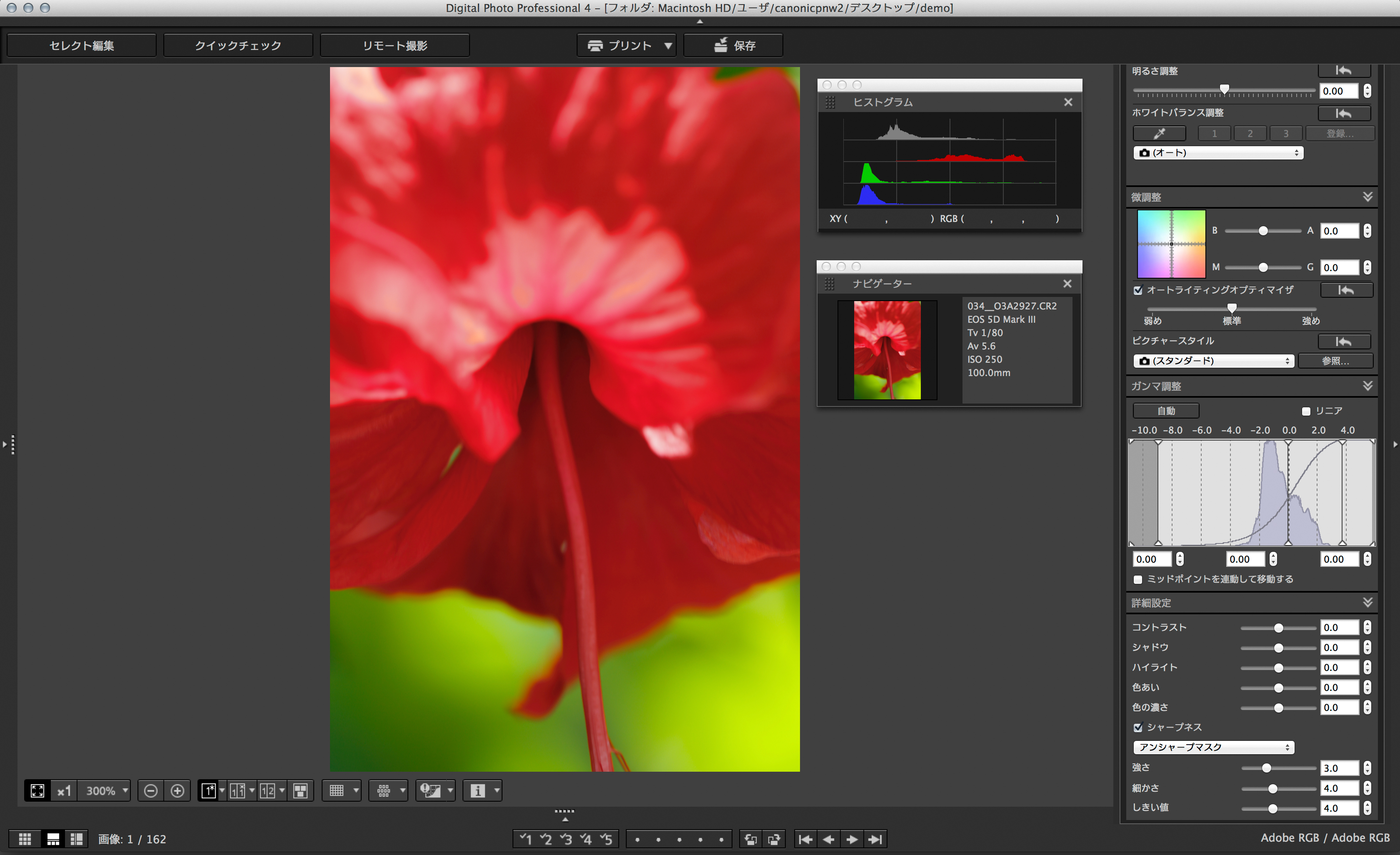 さまざまなヒストグラムの表示を切り替えて使える