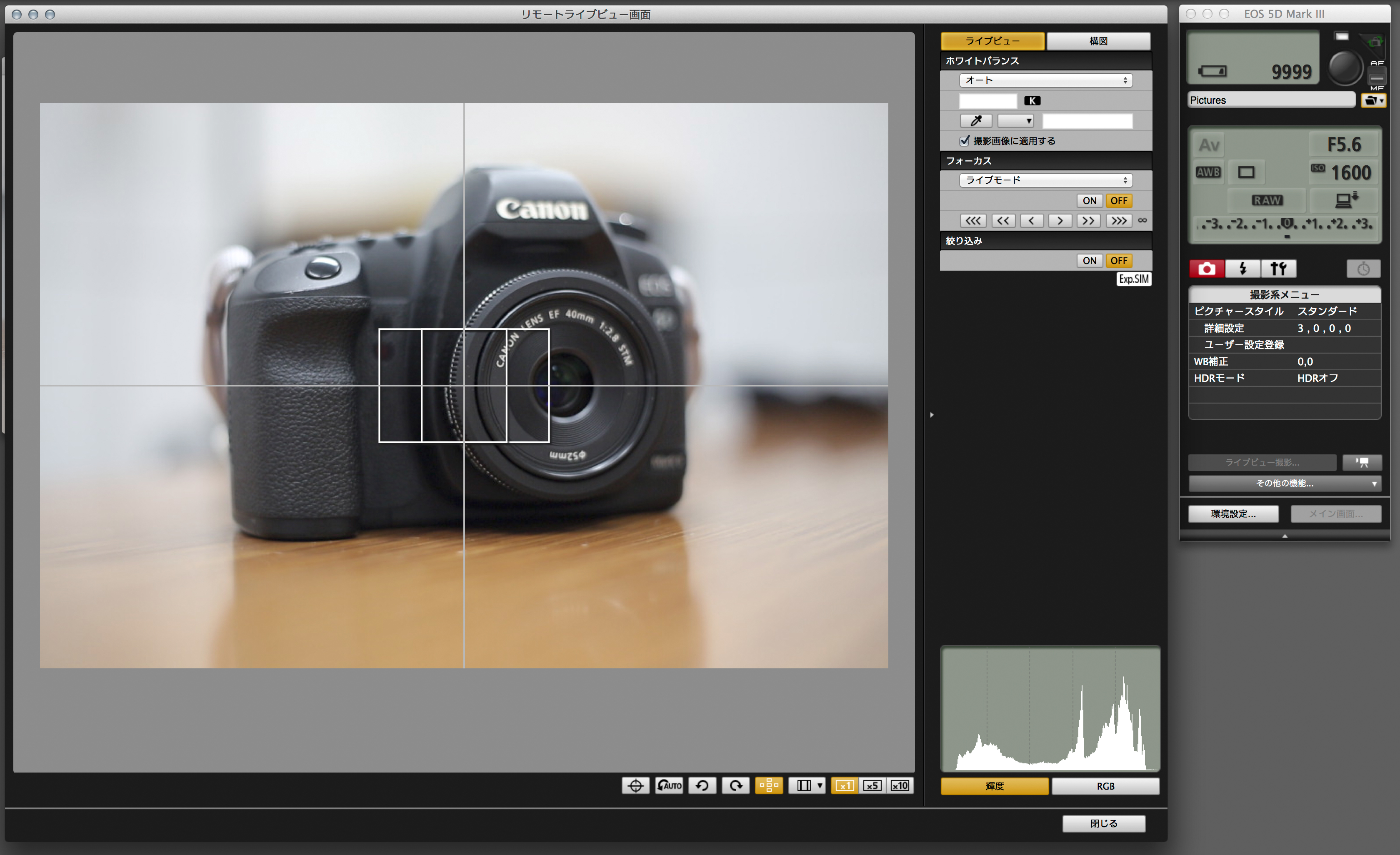 リモートライブビューのグリッドは本数や間隔を自由に設定できる