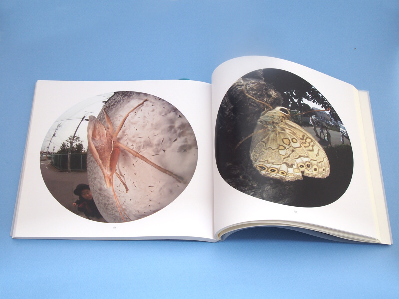 ぼくはこの魚露目8号だけで街中の昆虫を撮影した写真集「東京昆虫デジワイド」を2007年に出版し、これを記念してメーカーであるFIT社さんが、魚露目8号スペシャルバージョンを、プレゼントしてくれたのだった