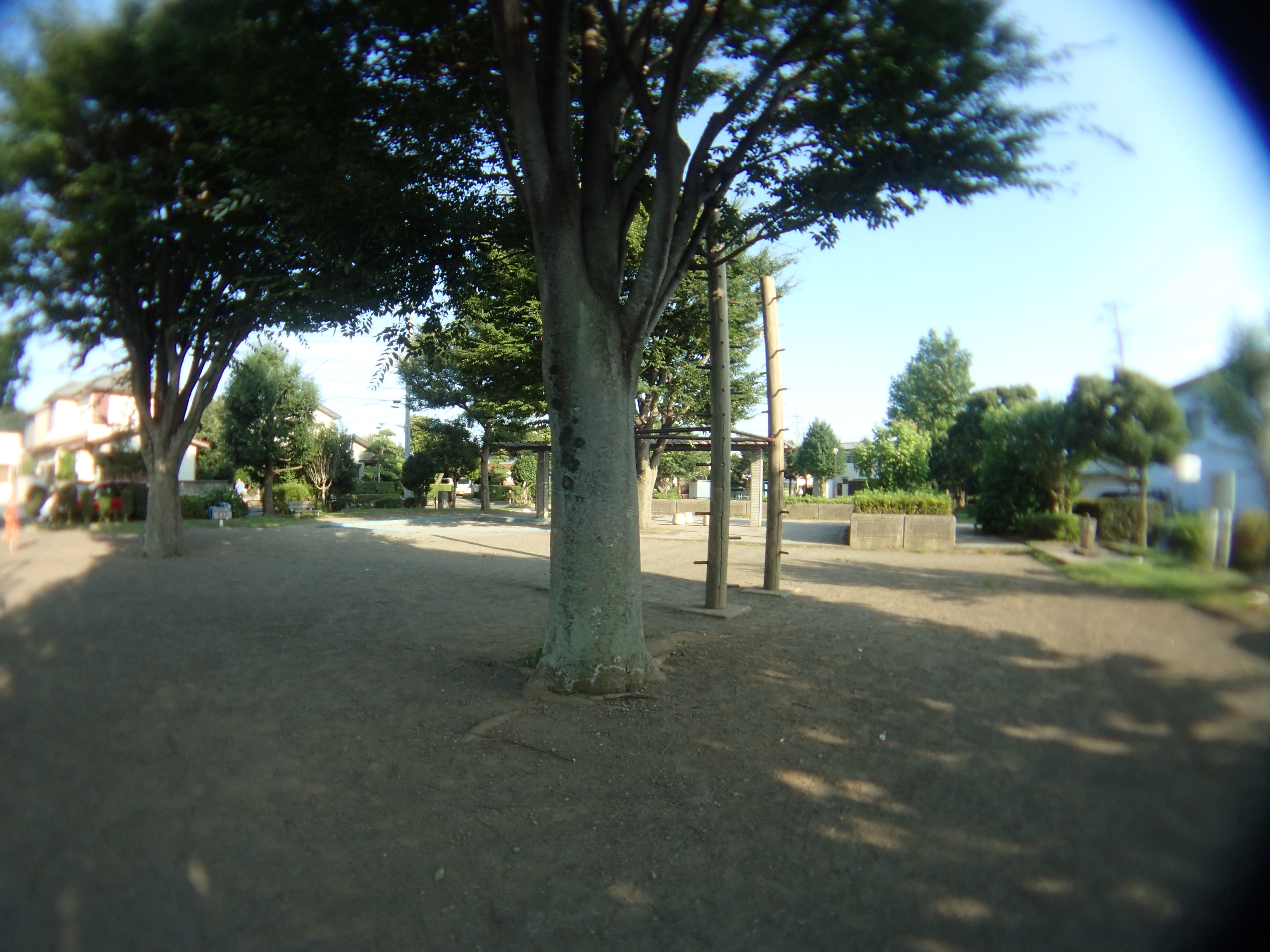 TG-3を最望遠にズームして、対角線魚眼レンズとして撮影。アダプターとTG-3の光軸がずれているようで、画面右上がケラれてしまっている。魚露目8号はあくまで汎用のコンバージョンレンズなので、装着カメラやその設定によって相性の違いがあり、その見極めが使いこなしのコツでもあるのだ