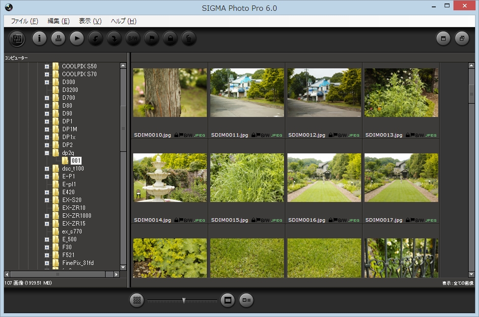 SIGMA Photo Pro 6.0