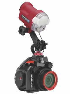 Olympus オリンパス　ストロボ 楽天市場】オリンパス ストロボの通販 その他