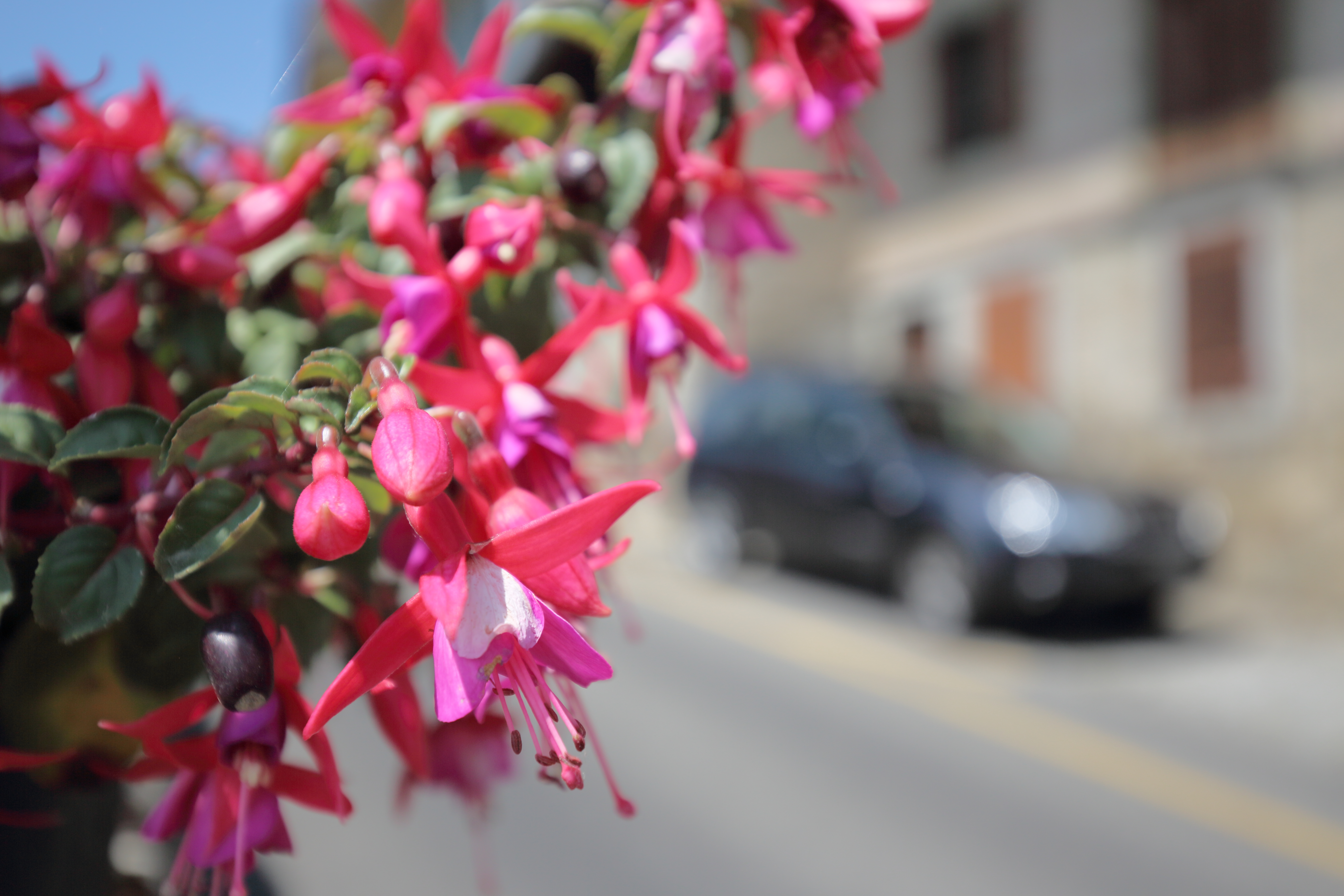 EOS 6D／EF16-35mm F4L IS USM／絞り優先AE／ISO100／F4／1/1,600／-0.7EV／WB:オート／35mm