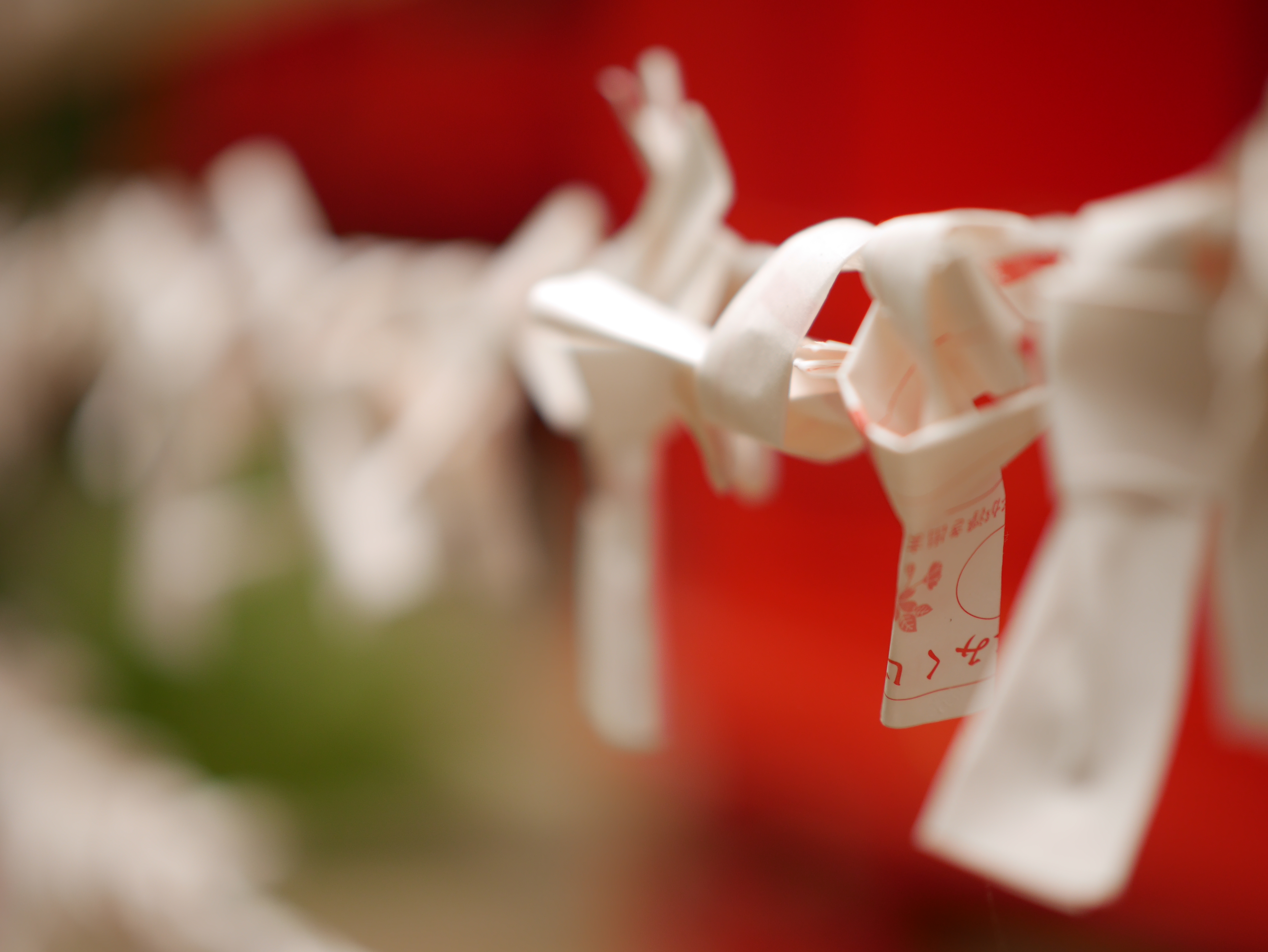 絞り開放・最短撮影距離（約50cm）で撮影。DMC-GX7 / 1/1,600秒 / F1.2 /  0.7EV / ISO200 / 絞り優先AE / 42.5mm