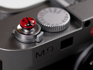 BUG てんとう虫RED-Oring