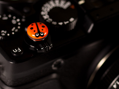 BUG てんとう虫ORANGE-Oring