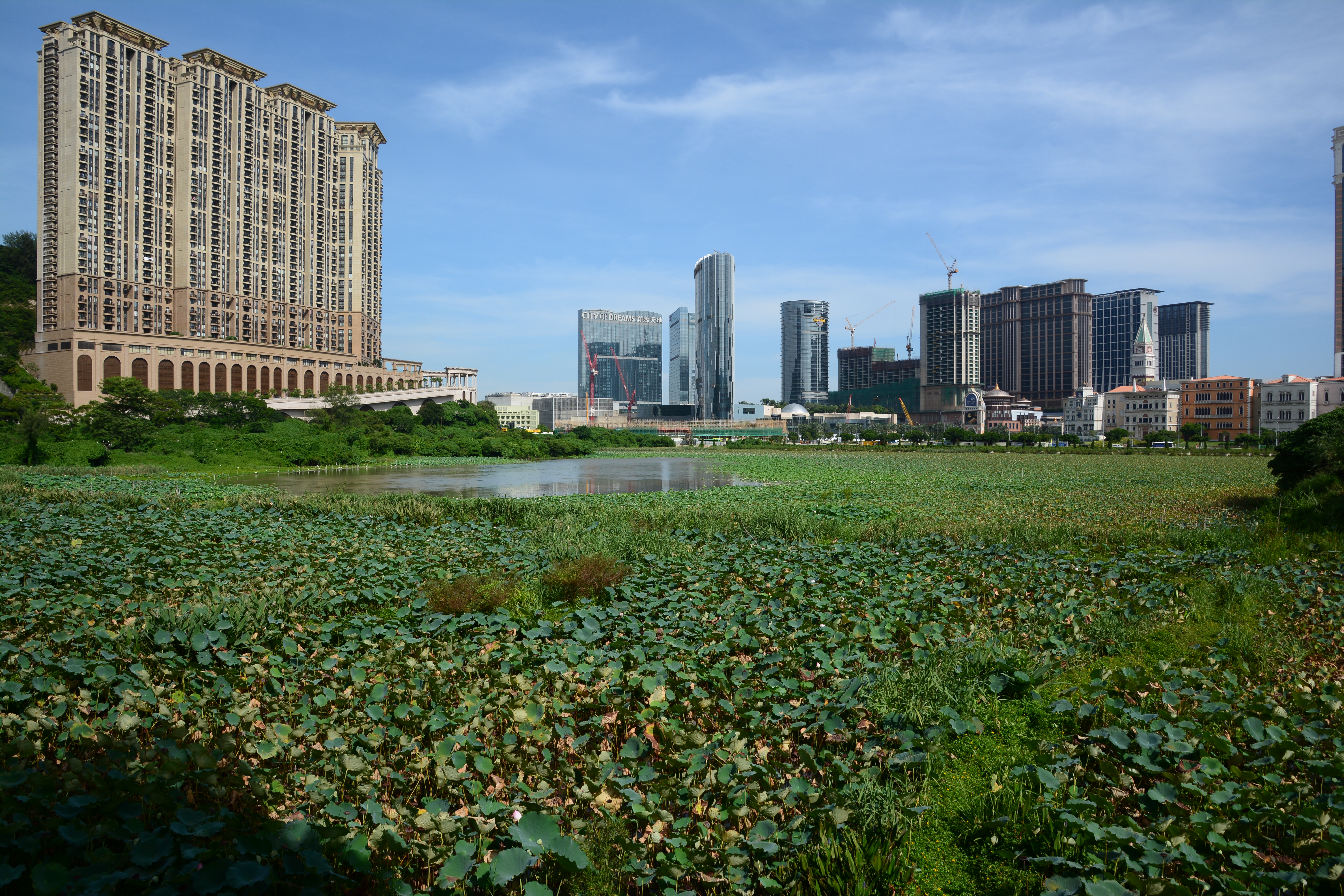 マカオのタイパ側は現在建設ラッシュ。次々、新しいホテルが建っている。24mm相当の広い画角を活かして全体を写すことができた。D7100／16-300mm F/3.5-6.3 Di II VC PZD MACRO／絞り優先／ISO100／F8／1/40秒／-0.7EV／WB:晴天／16mm