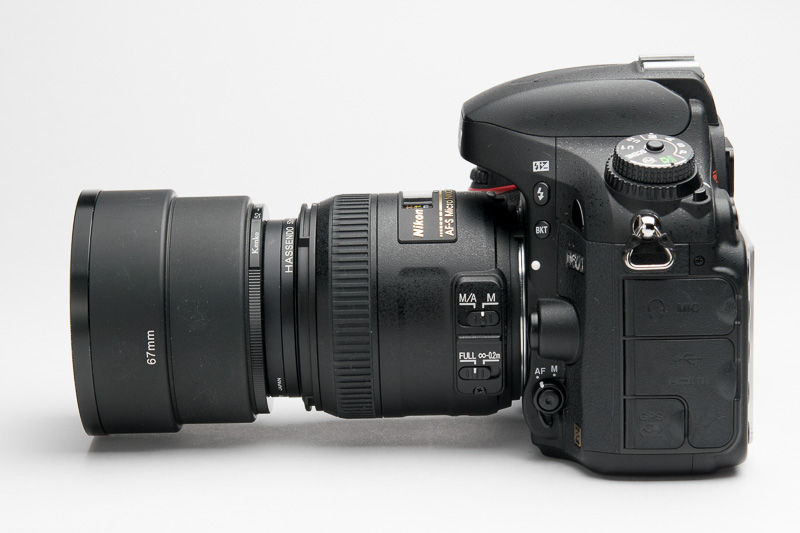 ニコン D600、AF-S DX Micro NIKKOR 40mm f/2.8G。メタルフード（ケンコー）や保護リング（八仙堂）で宙玉との距離を空けている（60mm程度）。接写リング等がいらないシンプルなシステムだ