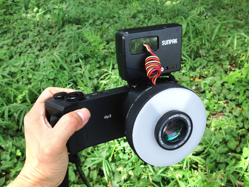 SIGMA dp2 Quattroにクローズアップレンズとリングストロボを装着。このリングストロボ、実はSIGMA dp2 Quattro用のレンズフード「LH4-01」を流用したものだ。ほぼ等倍のマクロ撮影が可能で、その細密描写は文字通り驚きに値する