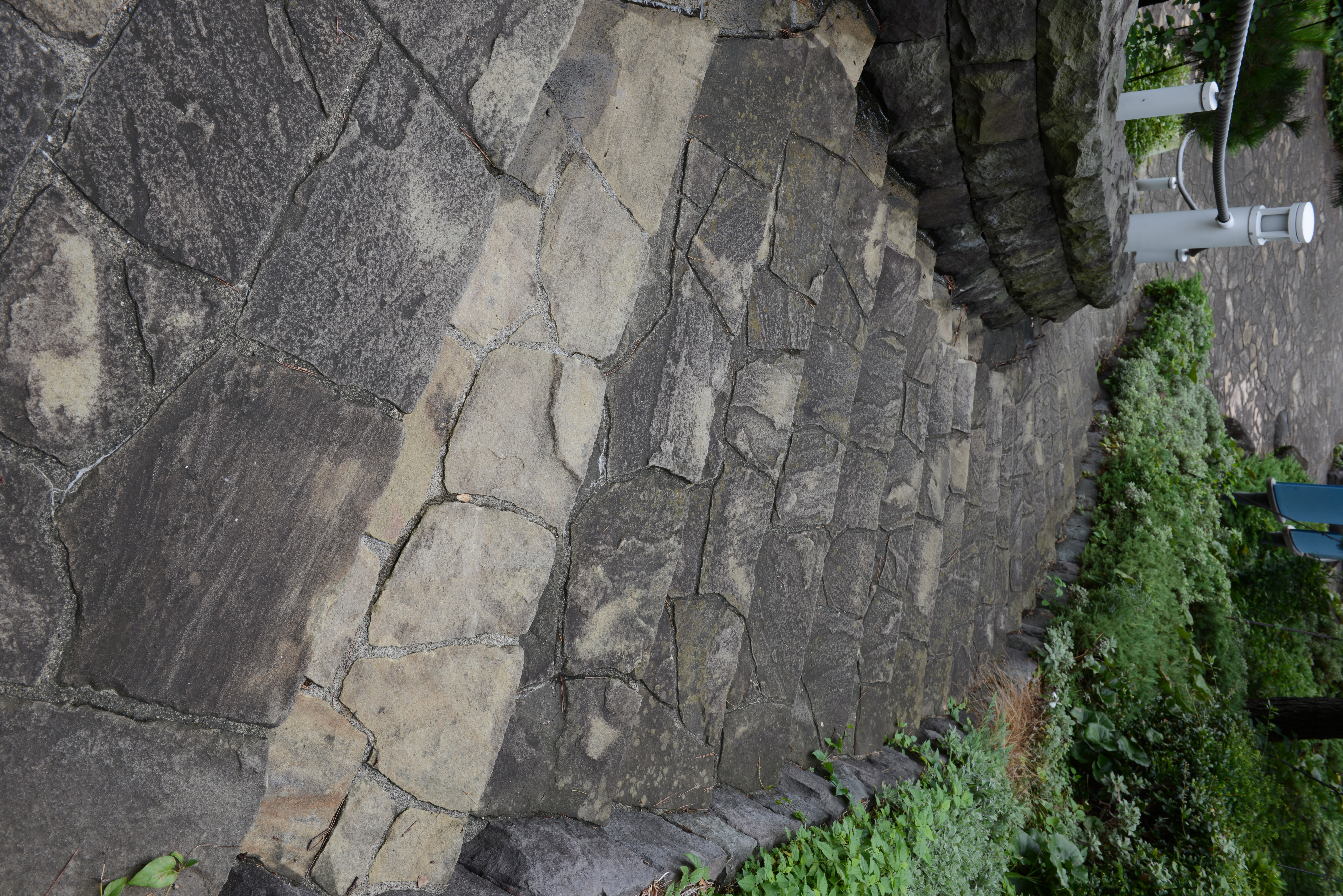 D800E／ISO100／F11／1/40秒／0EV／WB:オート／35mm