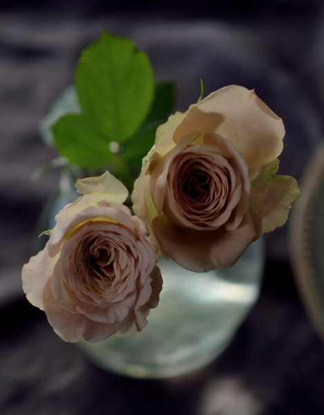 sacoさんの作品です。「素敵なスタイリング、ありがとうございました」