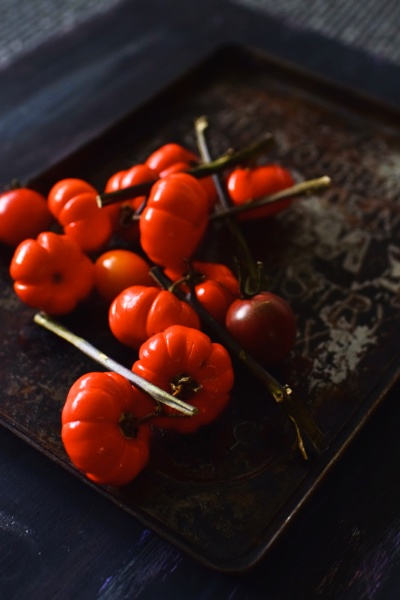 のりさんの作品です。「先生がとても気さくな方で、楽しく受講できてよかったです。普段はなるべく明るめの写真を撮ることを心がけて撮影しているのですが、今回は「ダーク・シック」ということで、少し暗めでクラシックな感じを意識して撮影してみました。一眼レフを購入して2カ月程度ですが、ニコンさんの講座のおかげで、どんどんきれいな写真が撮れるようになっていくのが嬉しいです（^-^）」