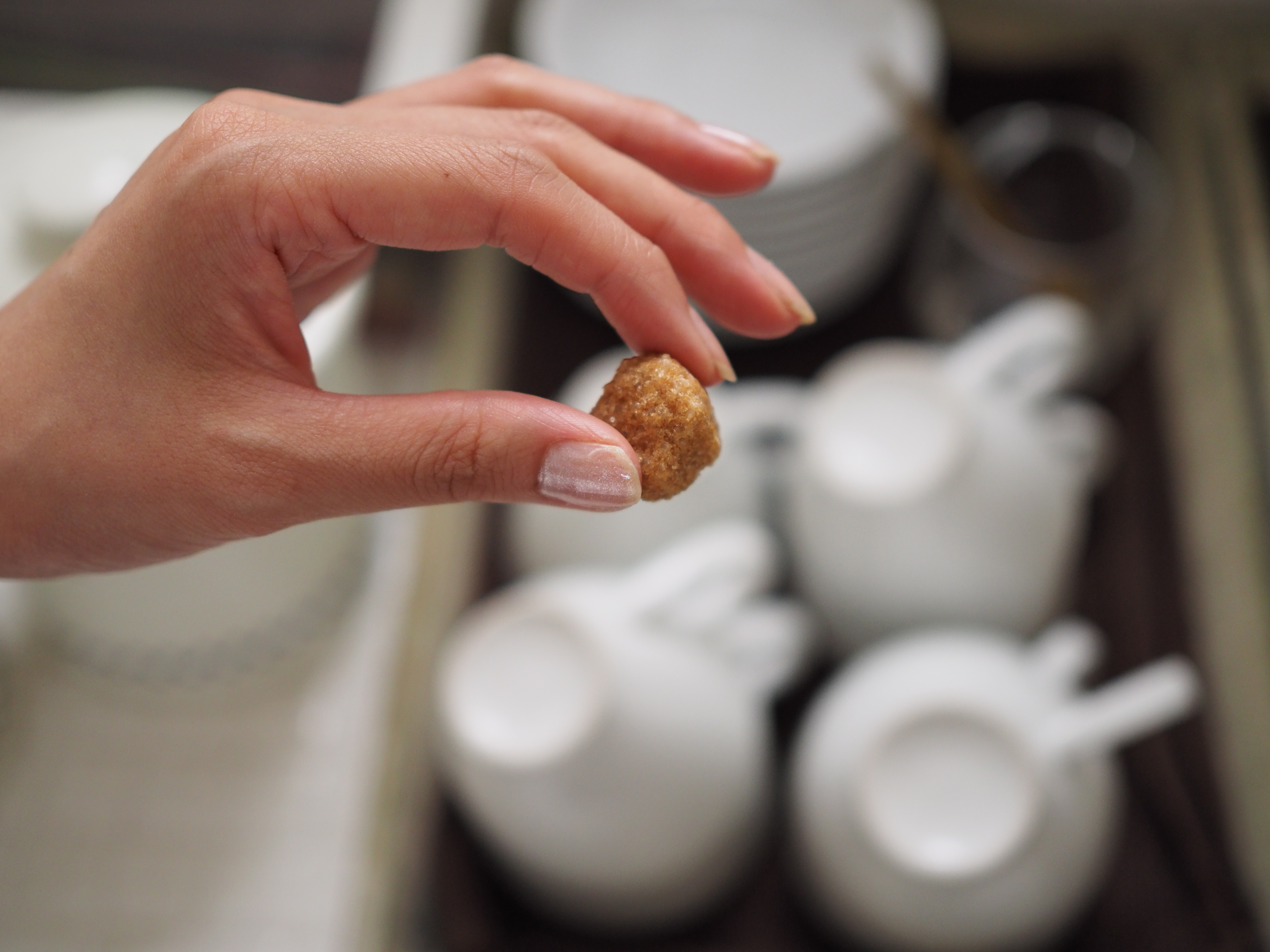 こちらも至近距離での撮影。ボケはもう少し複雑になるかと思ったが自然な雰囲気があってたいへん好ましい。合焦点の再現も軟らかい。単焦点大口径レンズらしい調子である。E-M1・絞り優先AE・ISO800・F1.8・1/160秒・+0.3EV・WB:オート