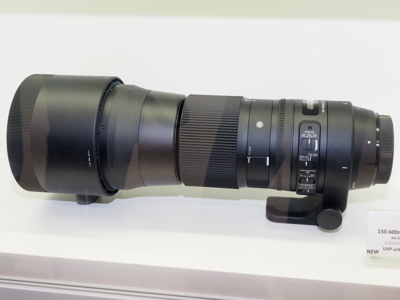 Contemporaryタイプ