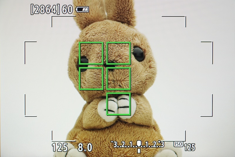 撮像素子はEOS 70Dと同じくデュアルピクセルCMOS。ライブビューでのAFが高速だ