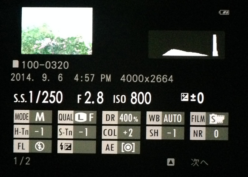 再生画像。一画面で多くの項目の設定が確認できます。