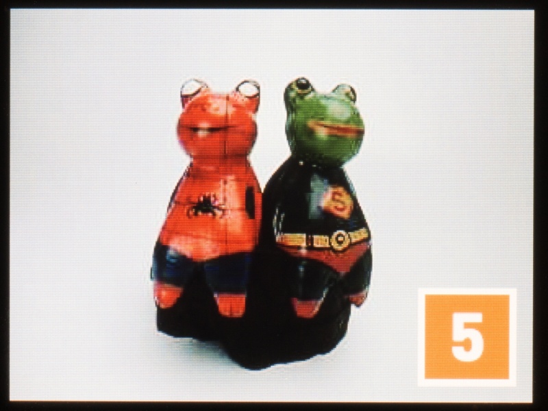 セルフタイマー撮影時の画面。秒数は5秒で固定されていて、作動中は残り時間が画面に表示される